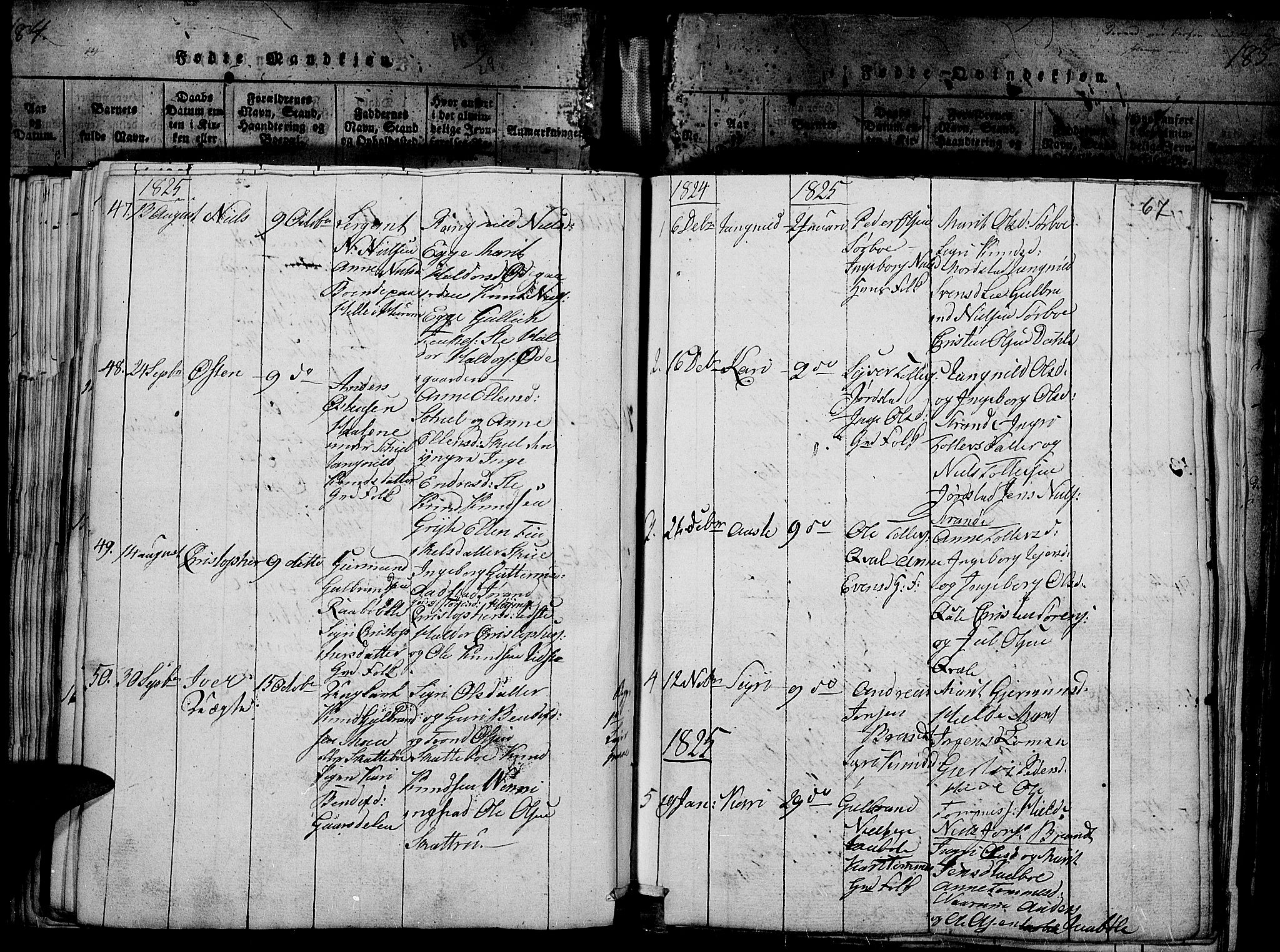 Slidre prestekontor, SAH/PREST-134/H/Ha/Haa/L0002: Parish register (official) no. 2, 1814-1830, p. 186q