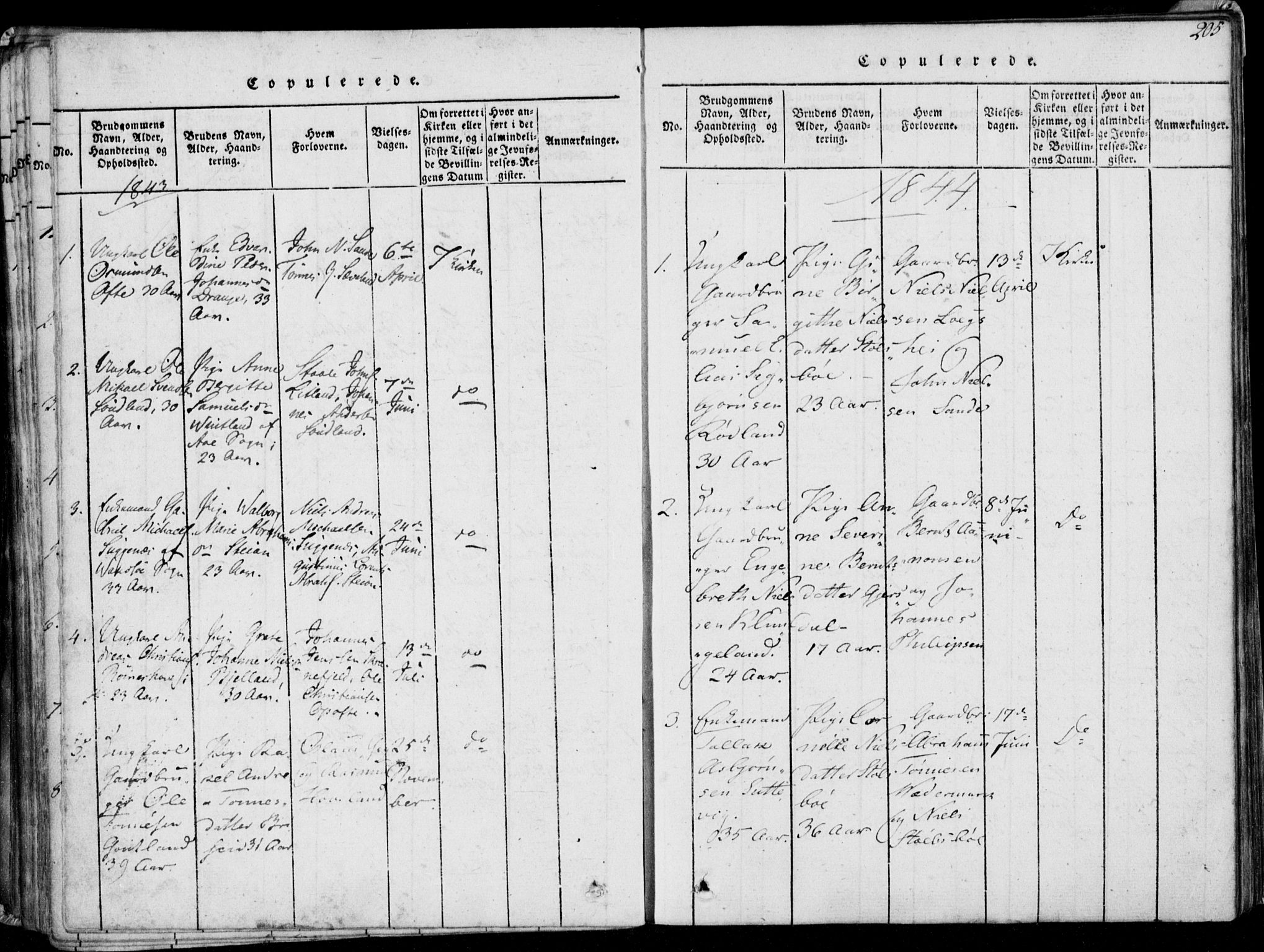 Herad sokneprestkontor, AV/SAK-1111-0018/F/Fa/Faa/L0003: Parish register (official) no. A 3, 1816-1844, p. 205