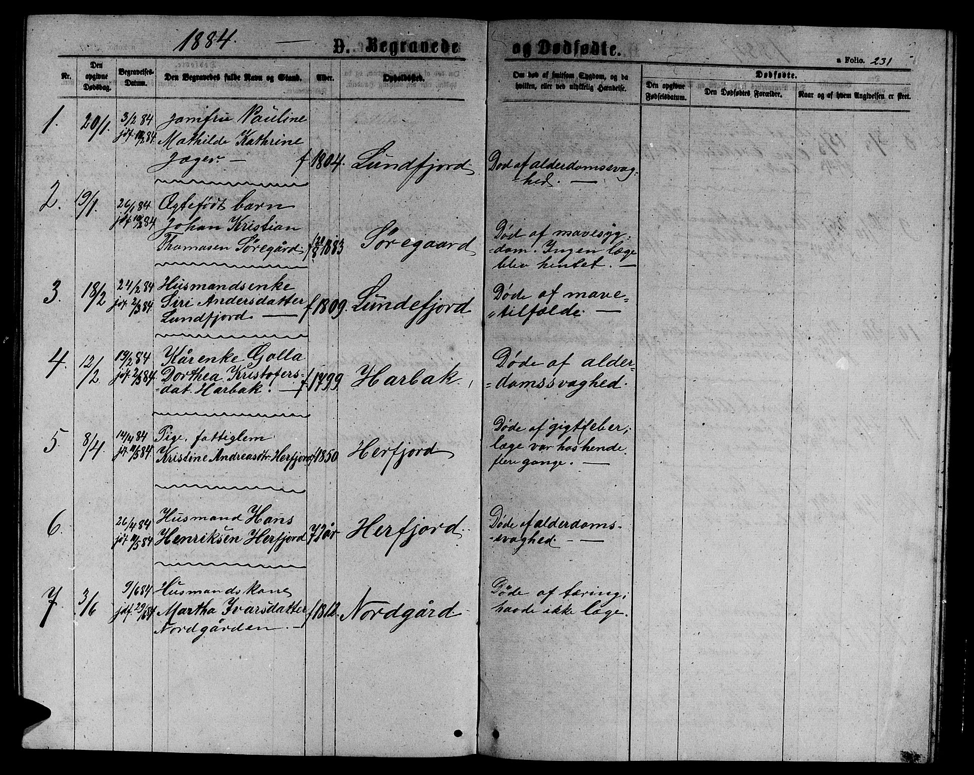 Ministerialprotokoller, klokkerbøker og fødselsregistre - Sør-Trøndelag, SAT/A-1456/656/L0695: Parish register (copy) no. 656C01, 1867-1889, p. 231