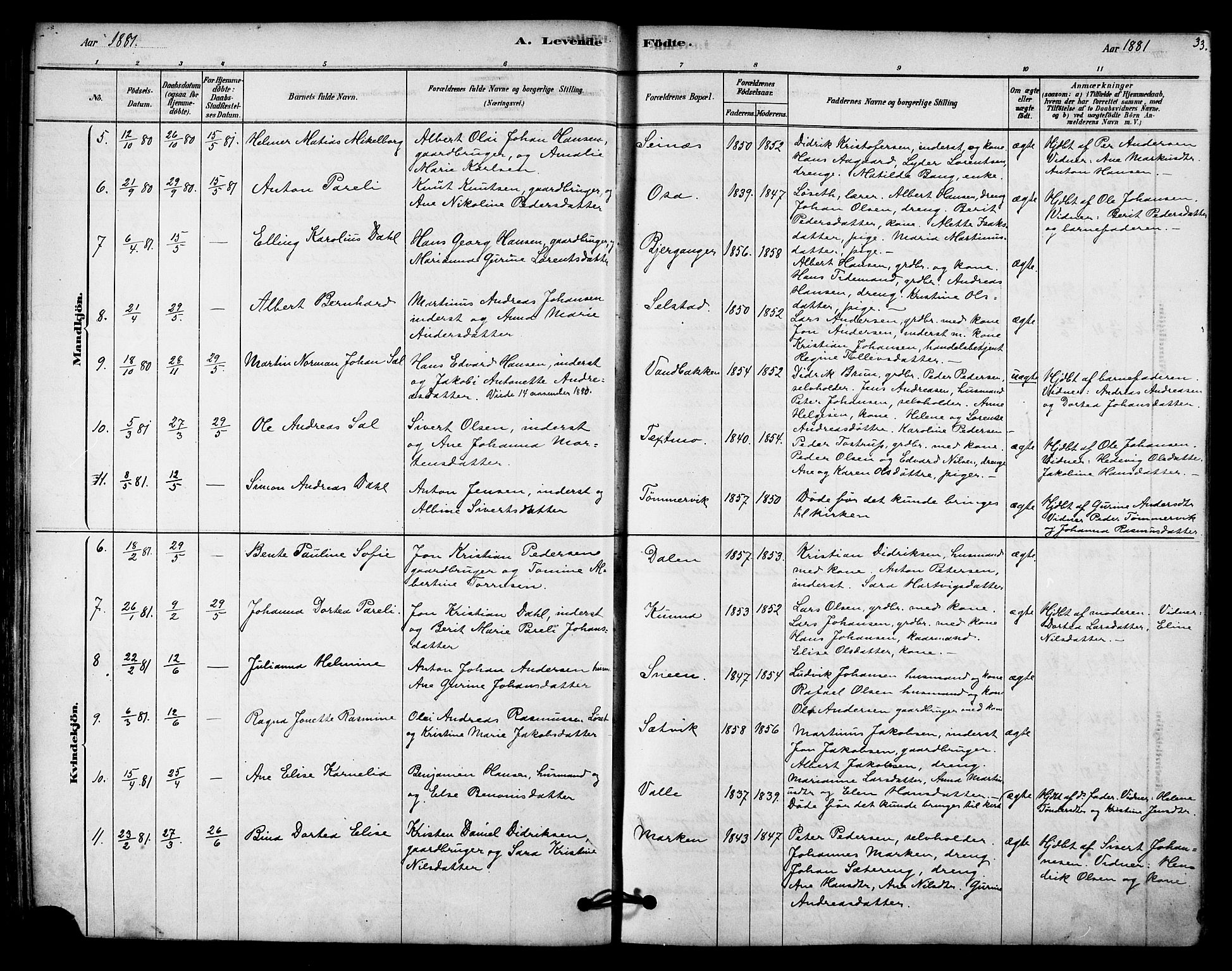 Ministerialprotokoller, klokkerbøker og fødselsregistre - Nordland, AV/SAT-A-1459/843/L0626: Parish register (official) no. 843A01, 1878-1907, p. 33