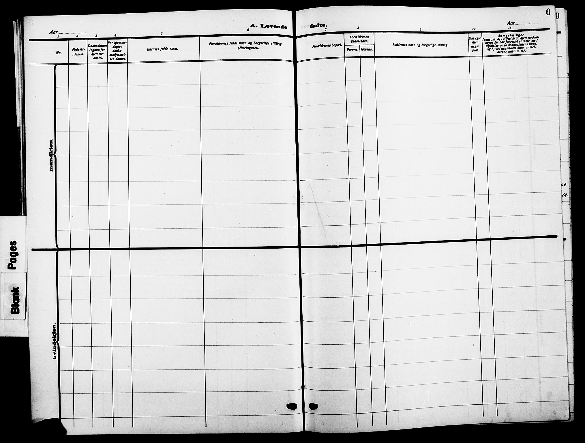 Sør-Odal prestekontor, SAH/PREST-030/H/Ha/Hab/L0008: Parish register (copy) no. 8, 1913-1923, p. 6