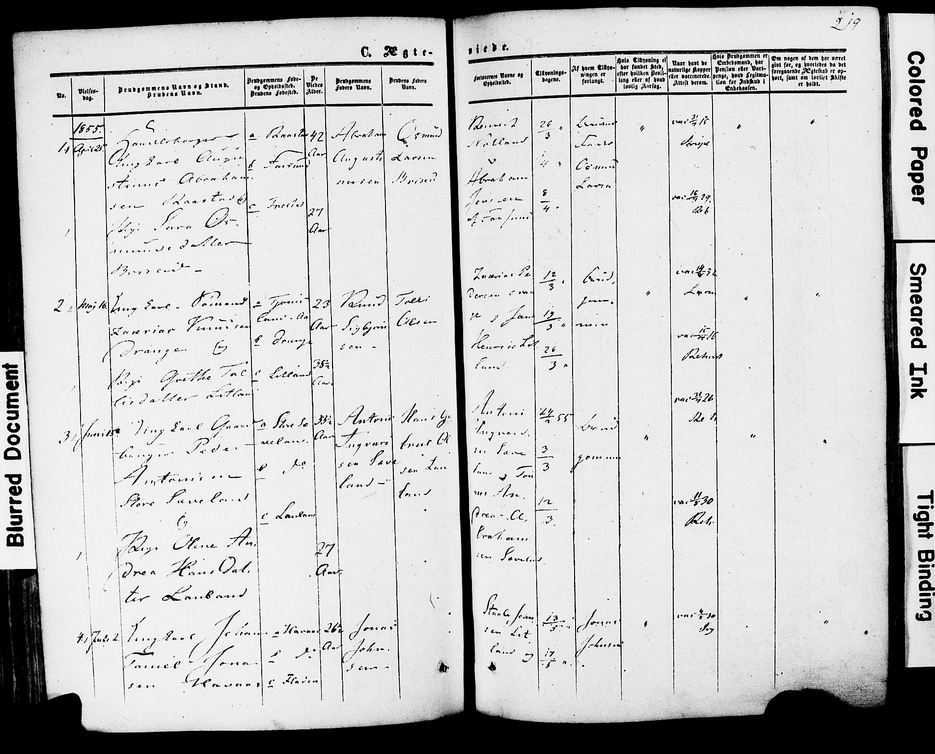Herad sokneprestkontor, SAK/1111-0018/F/Fa/Faa/L0005: Parish register (official) no. A 5, 1853-1886, p. 219