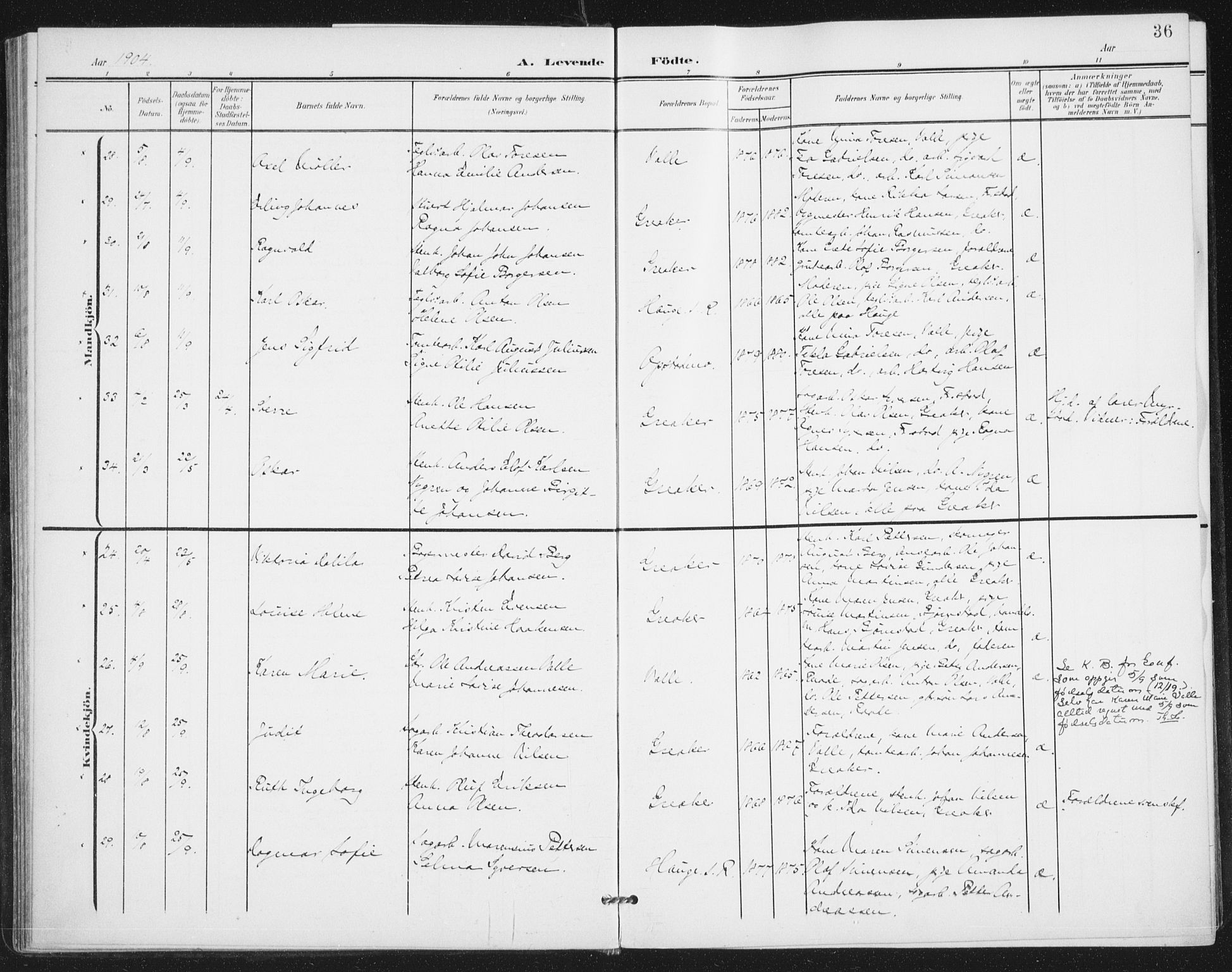 Rolvsøy prestekontor Kirkebøker, AV/SAO-A-2004/F/Fa/L0001: Parish register (official) no. 1, 1901-1909, p. 36