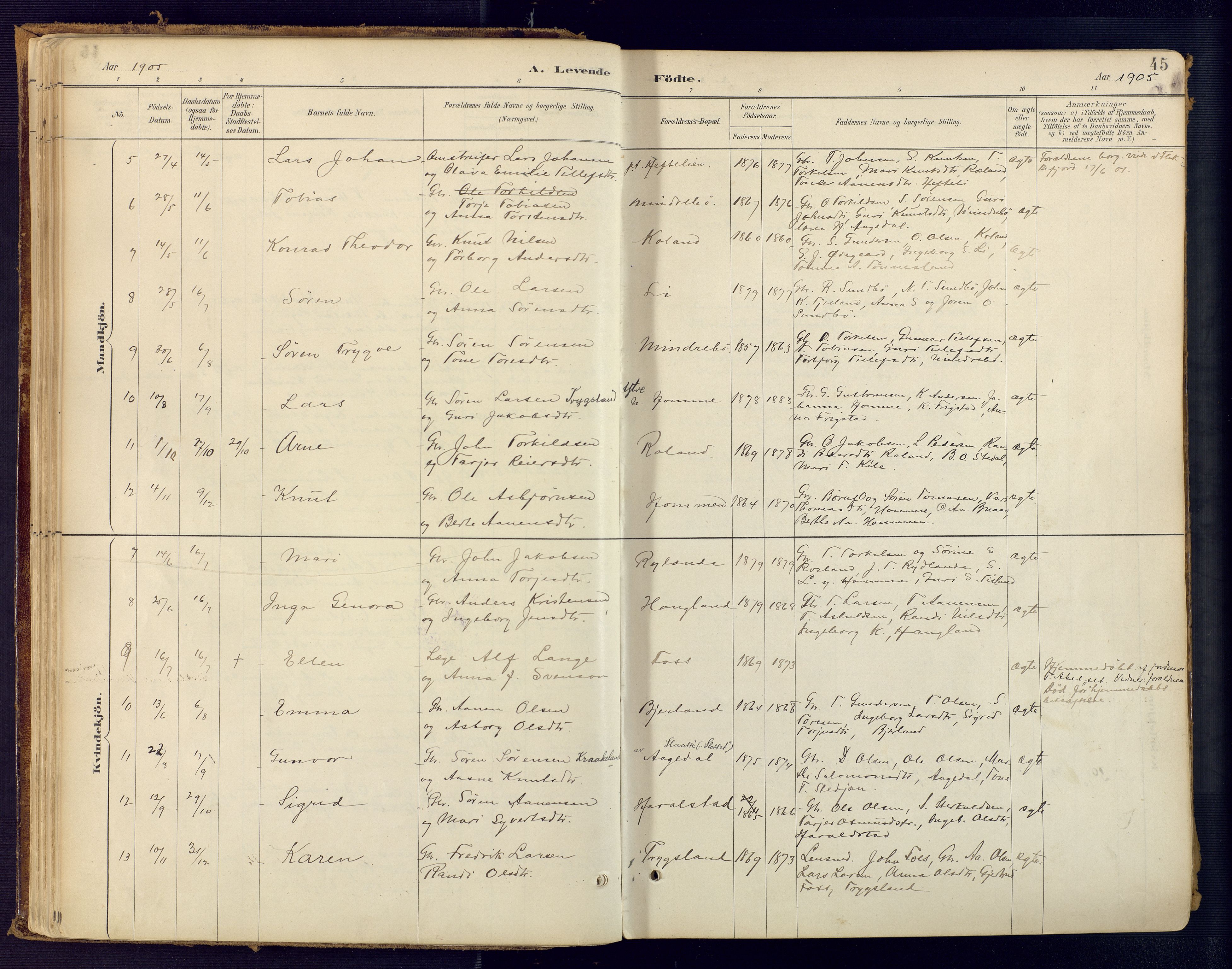 Bjelland sokneprestkontor, AV/SAK-1111-0005/F/Fa/Faa/L0004: Parish register (official) no. A 4, 1887-1923, p. 45