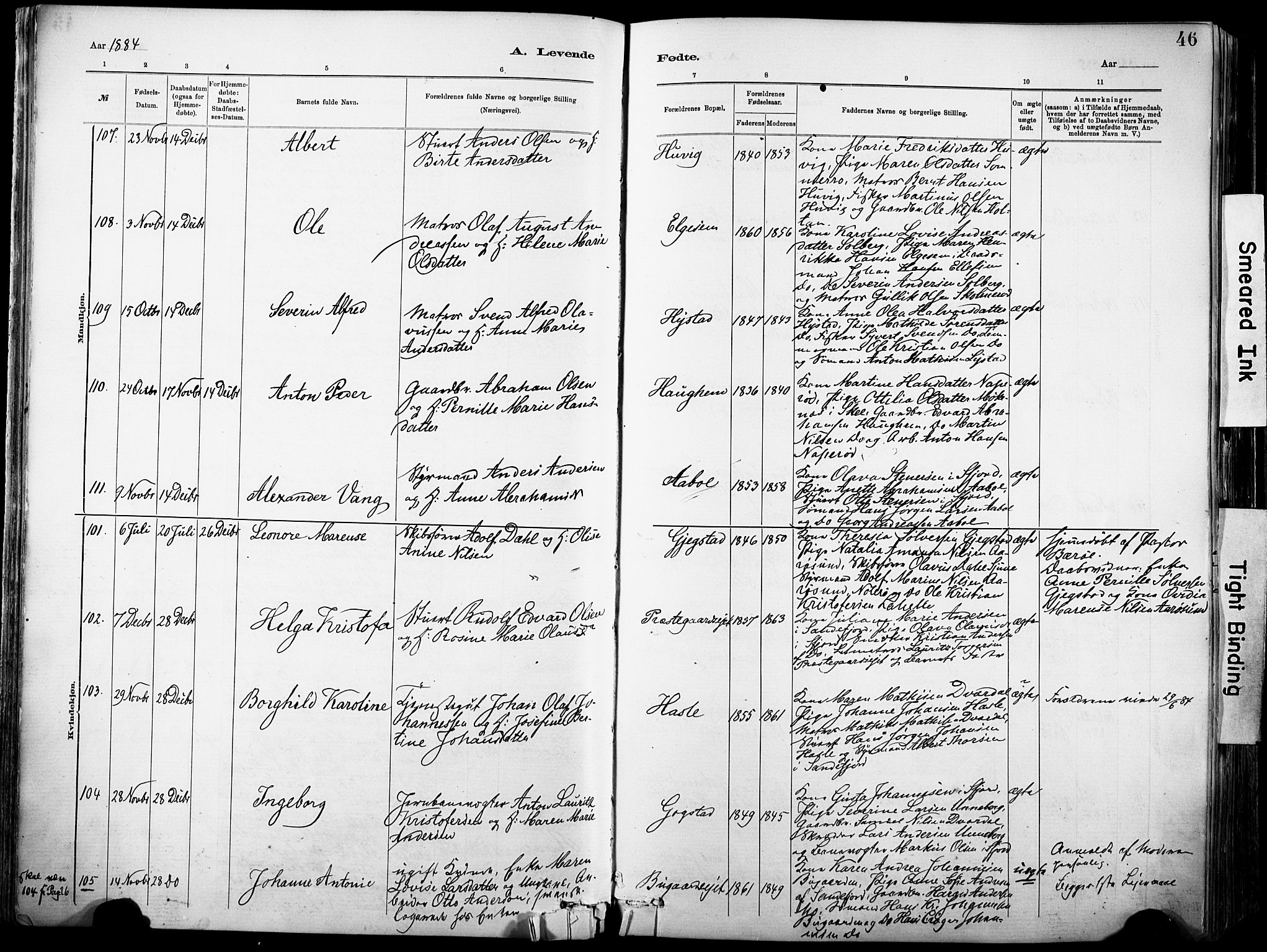 Sandar kirkebøker, AV/SAKO-A-243/F/Fa/L0012: Parish register (official) no. 12, 1883-1895, p. 46