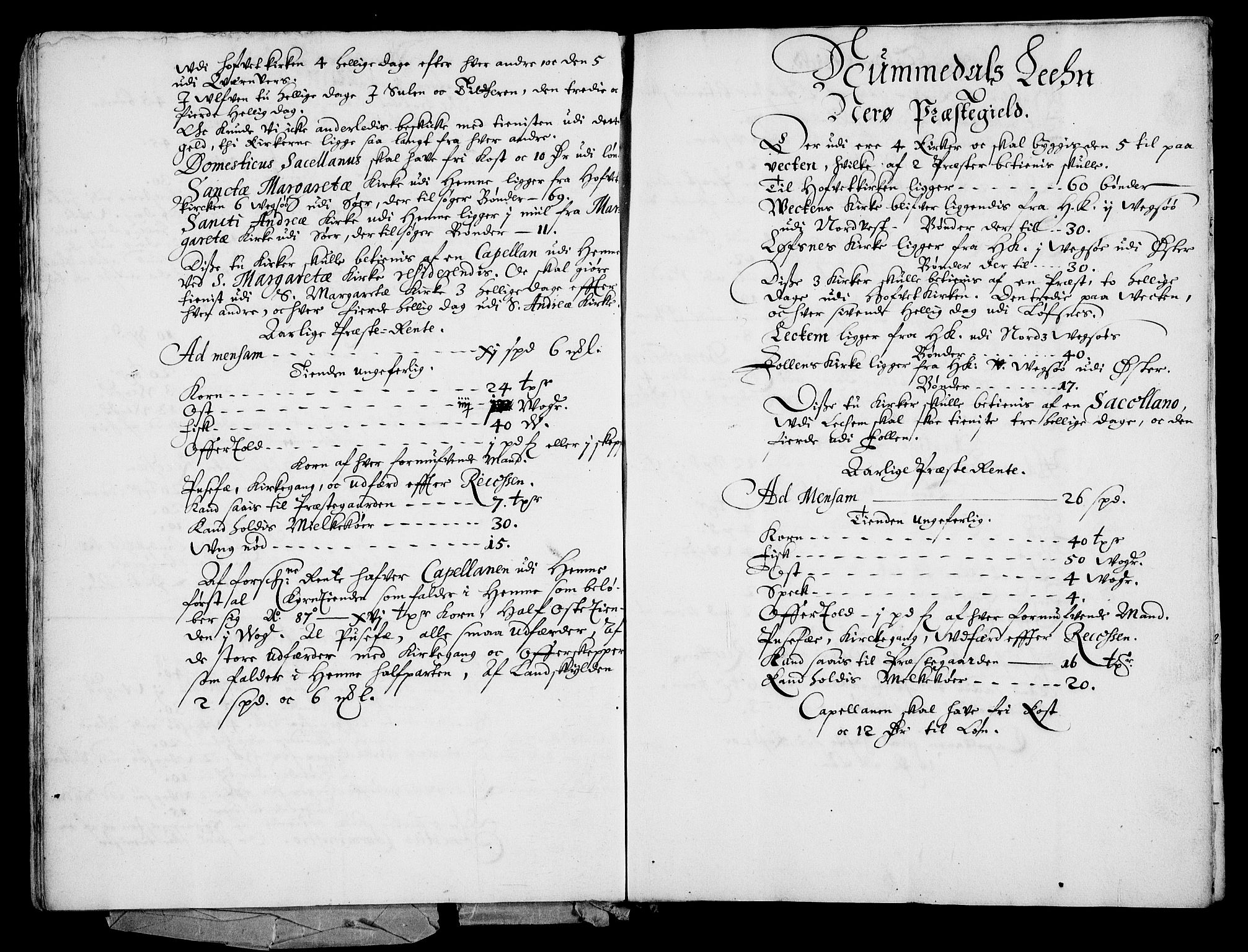 Rentekammeret inntil 1814, Realistisk ordnet avdeling, AV/RA-EA-4070/Fc/Fca/L0004/0001: [Ca IV]  Trondheim stift / Trondheims stiftsbok, "Reformatsen", 1589