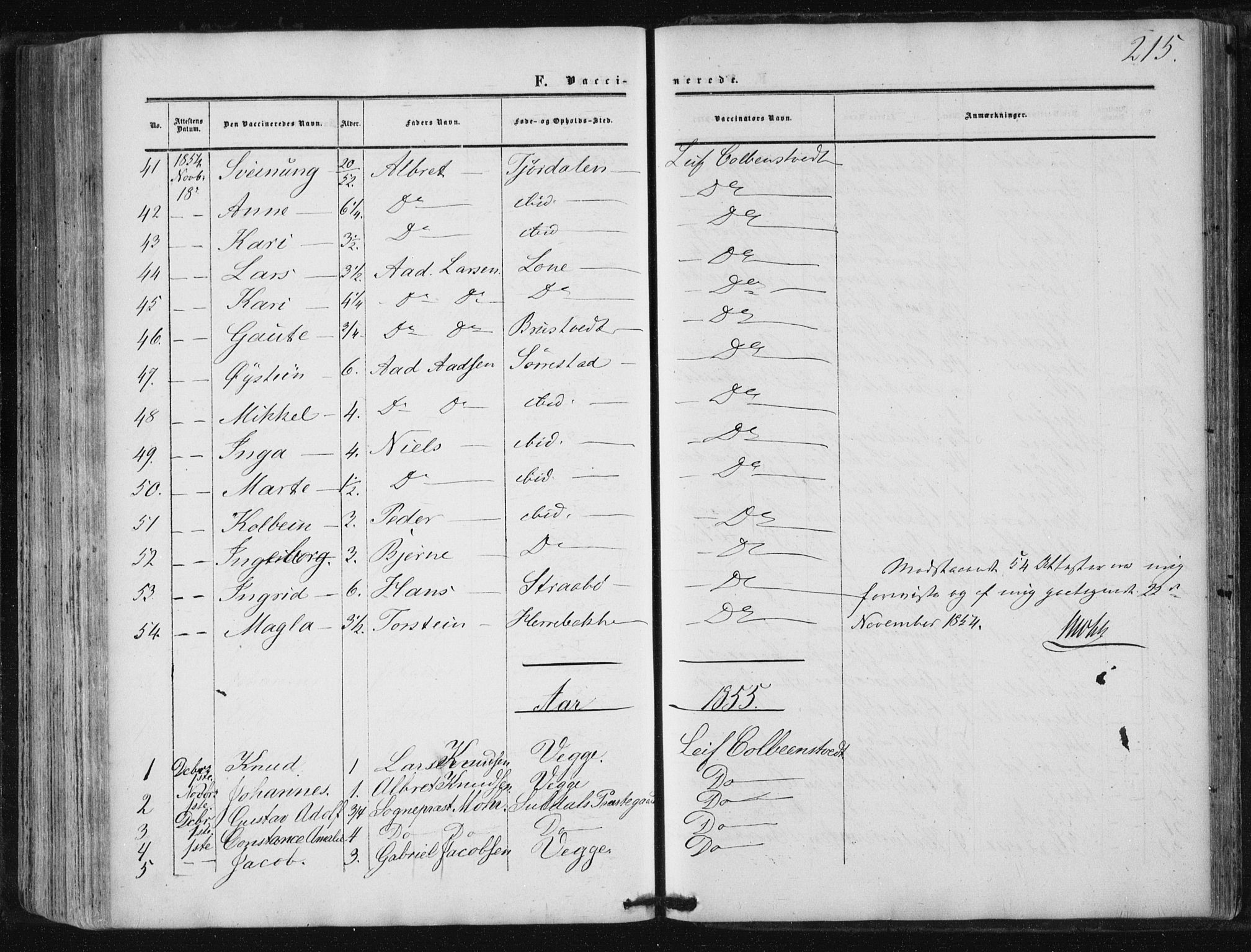 Suldal sokneprestkontor, AV/SAST-A-101845/01/IV/L0009: Parish register (official) no. A 9, 1854-1868, p. 215