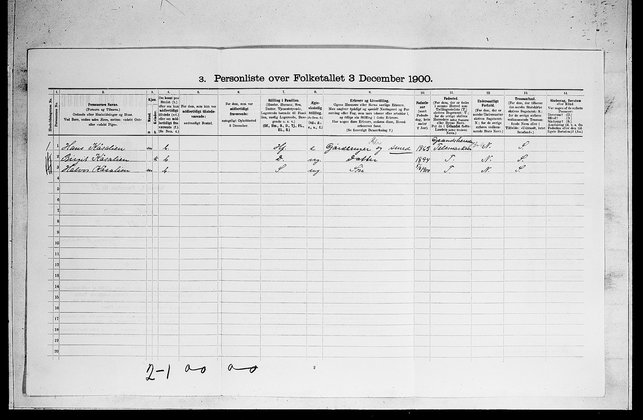 RA, 1900 census for Ål, 1900, p. 1218