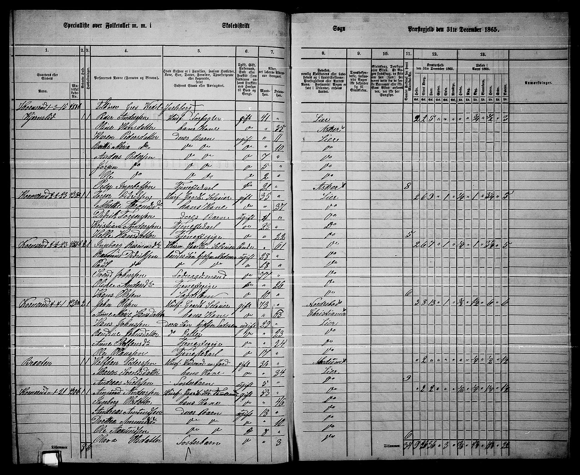 RA, 1865 census for Lier, 1865, p. 245