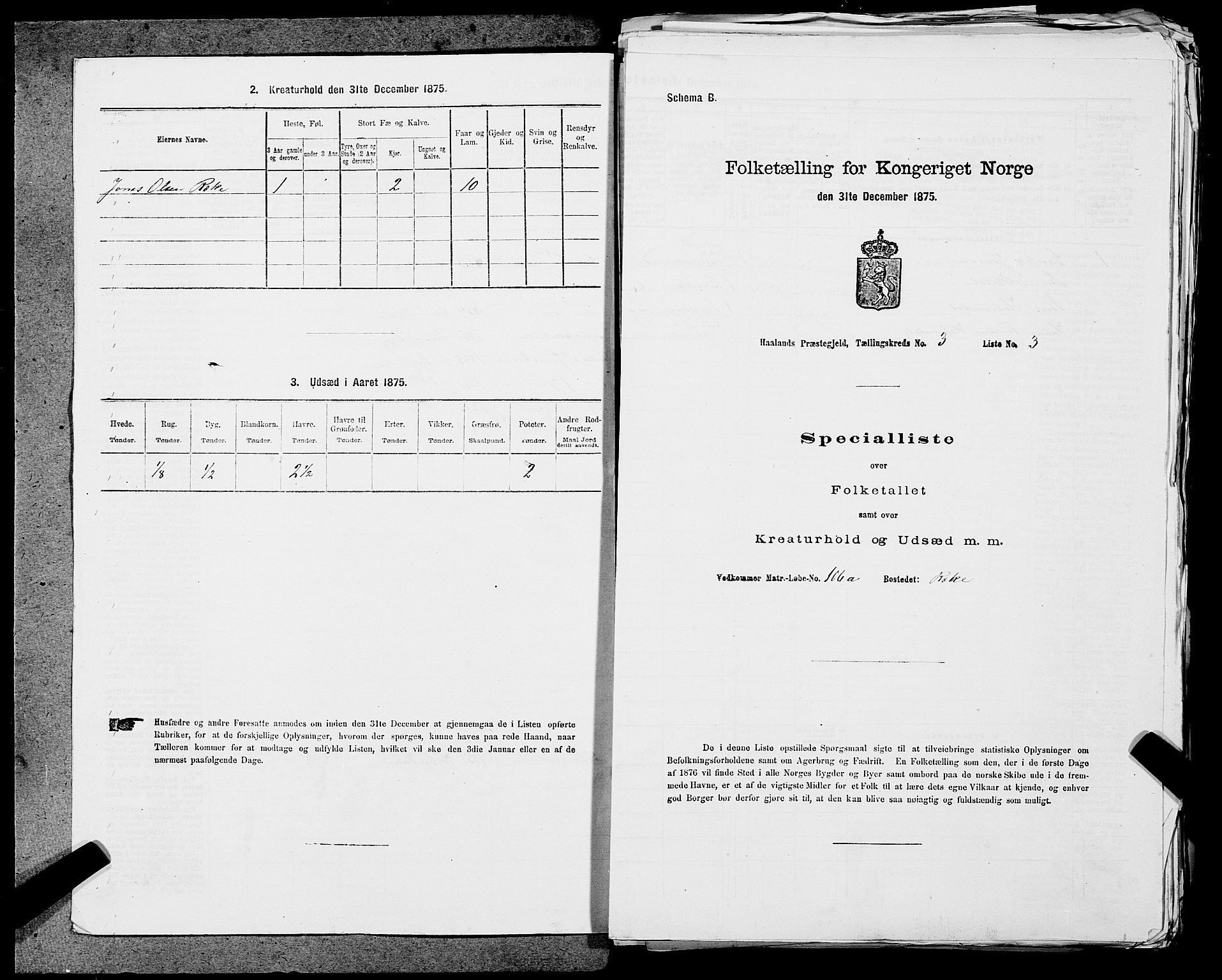 SAST, 1875 census for 1124P Håland, 1875, p. 381