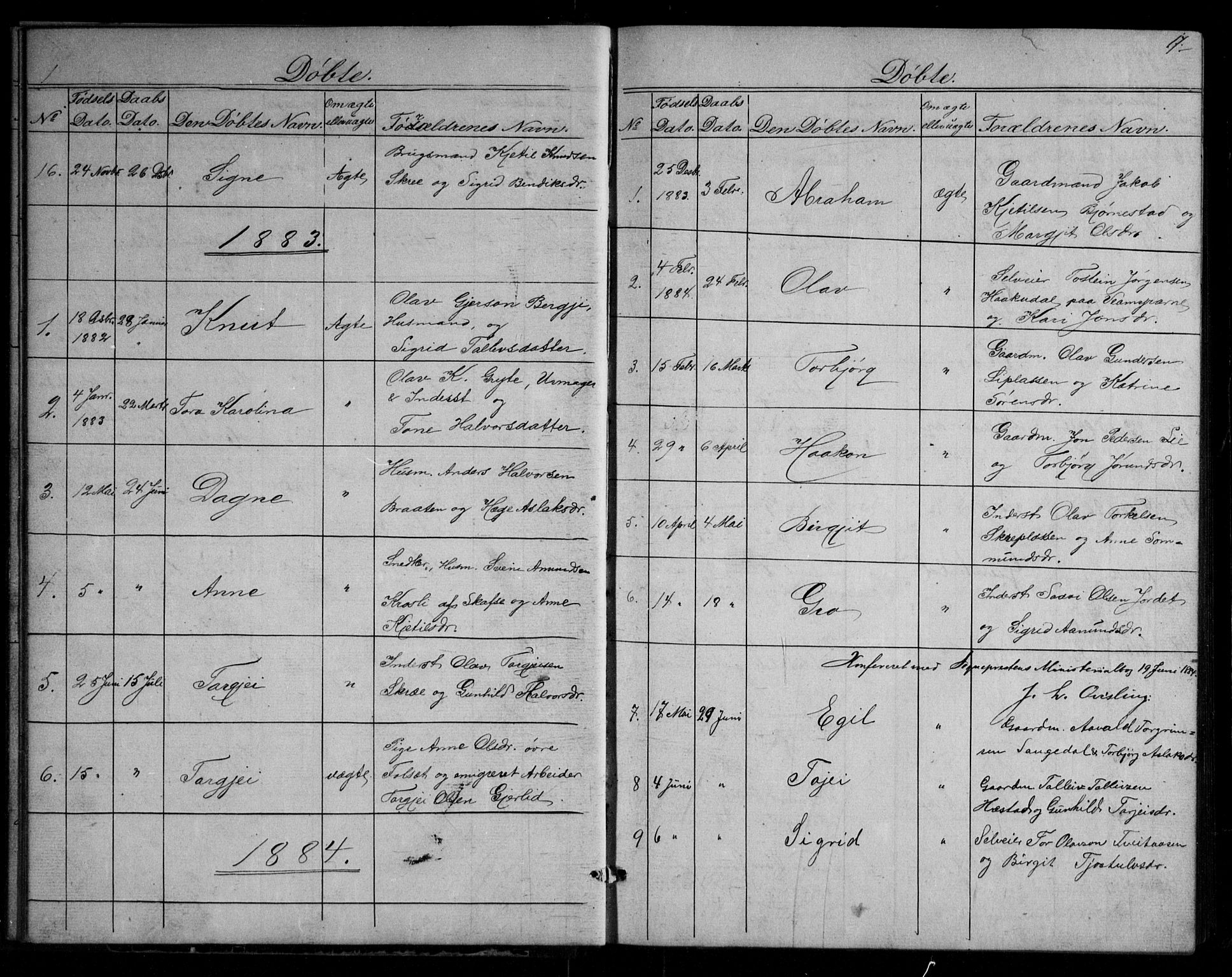 Fyresdal kirkebøker, AV/SAKO-A-263/G/Gb/L0001: Parish register (copy) no. II 1, 1864-1890, p. 17
