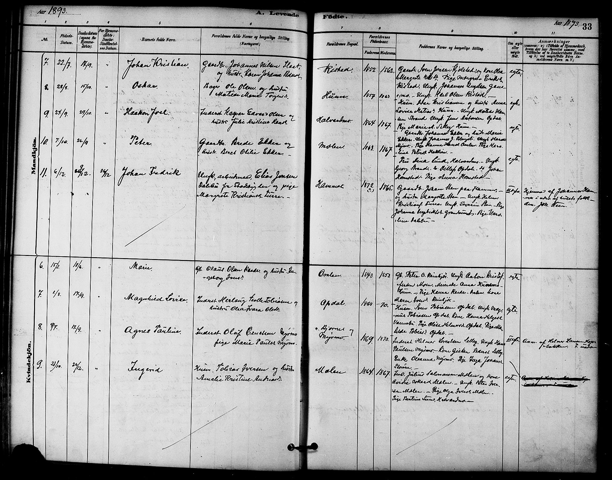 Ministerialprotokoller, klokkerbøker og fødselsregistre - Nord-Trøndelag, SAT/A-1458/766/L0563: Parish register (official) no. 767A01, 1881-1899, p. 33