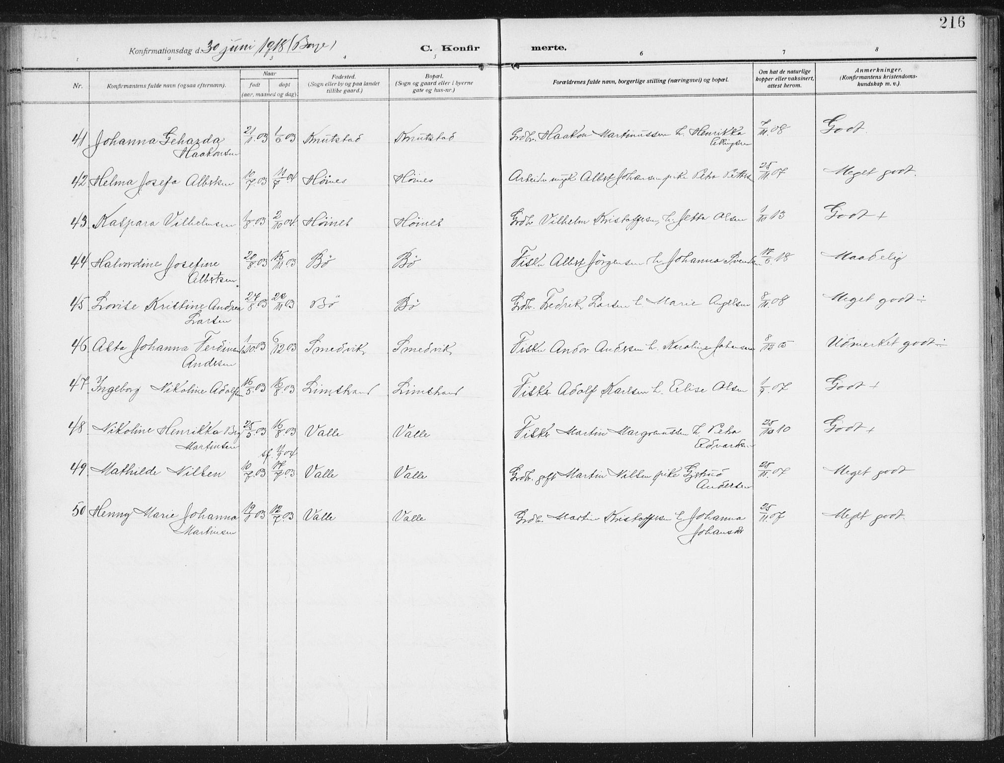 Ministerialprotokoller, klokkerbøker og fødselsregistre - Nordland, AV/SAT-A-1459/880/L1135: Parish register (official) no. 880A09, 1908-1919, p. 216