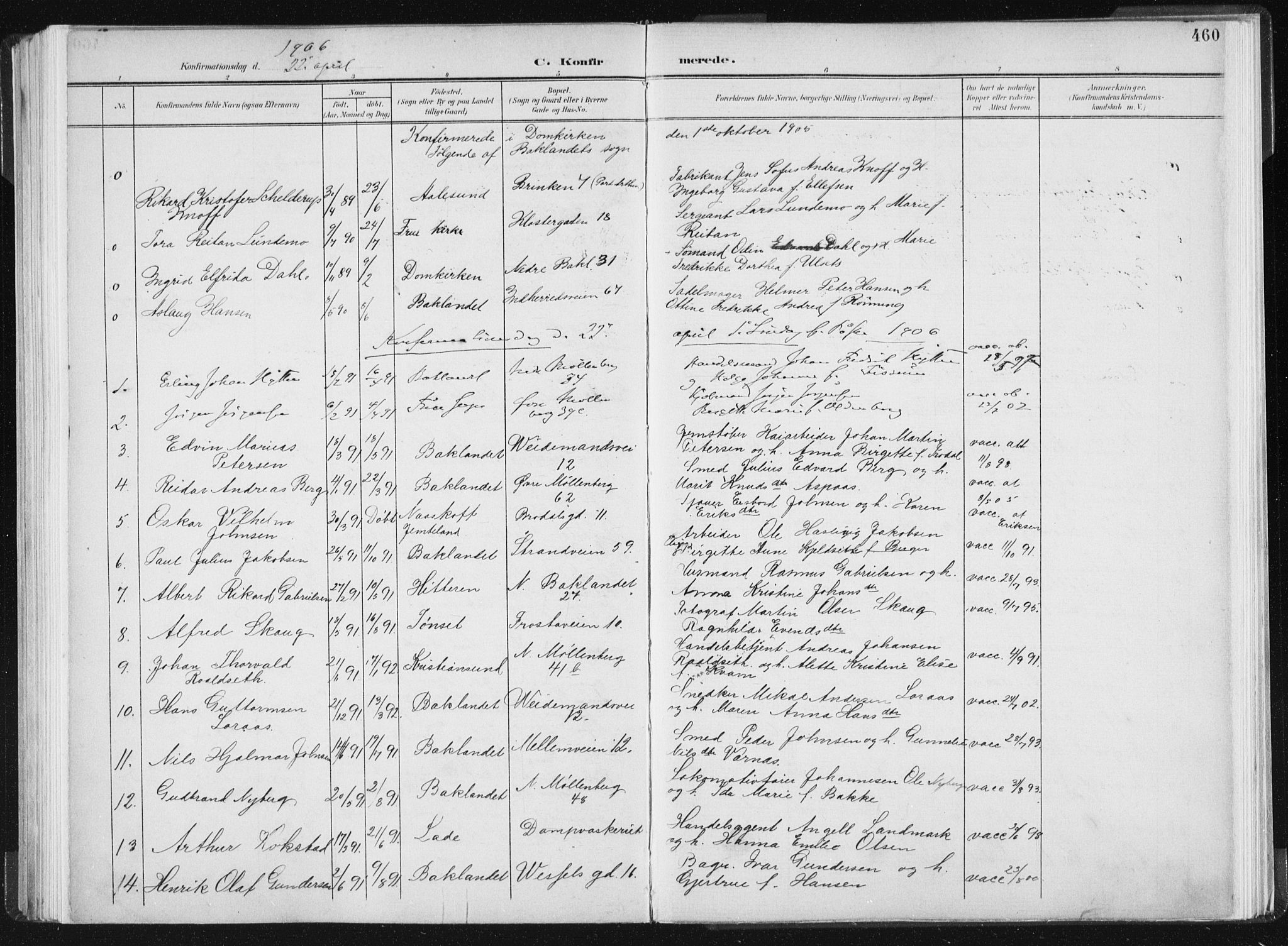 Ministerialprotokoller, klokkerbøker og fødselsregistre - Sør-Trøndelag, AV/SAT-A-1456/604/L0200: Parish register (official) no. 604A20II, 1901-1908, p. 460