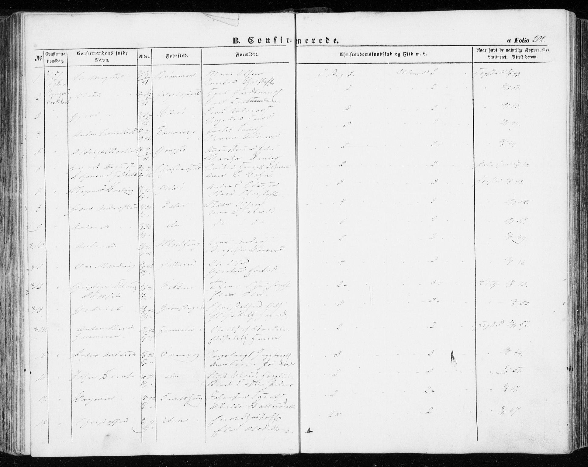 Ministerialprotokoller, klokkerbøker og fødselsregistre - Sør-Trøndelag, AV/SAT-A-1456/634/L0530: Parish register (official) no. 634A06, 1852-1860, p. 202