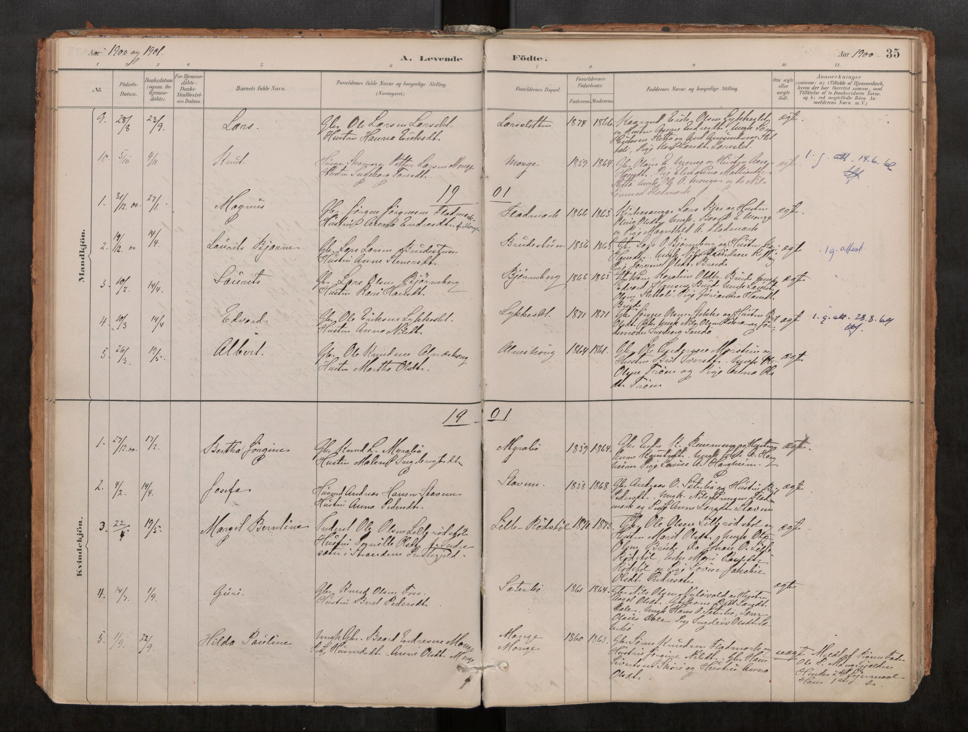 Ministerialprotokoller, klokkerbøker og fødselsregistre - Møre og Romsdal, SAT/A-1454/546/L0599: Parish register (official) no. 546A03, 1882-1920, p. 35