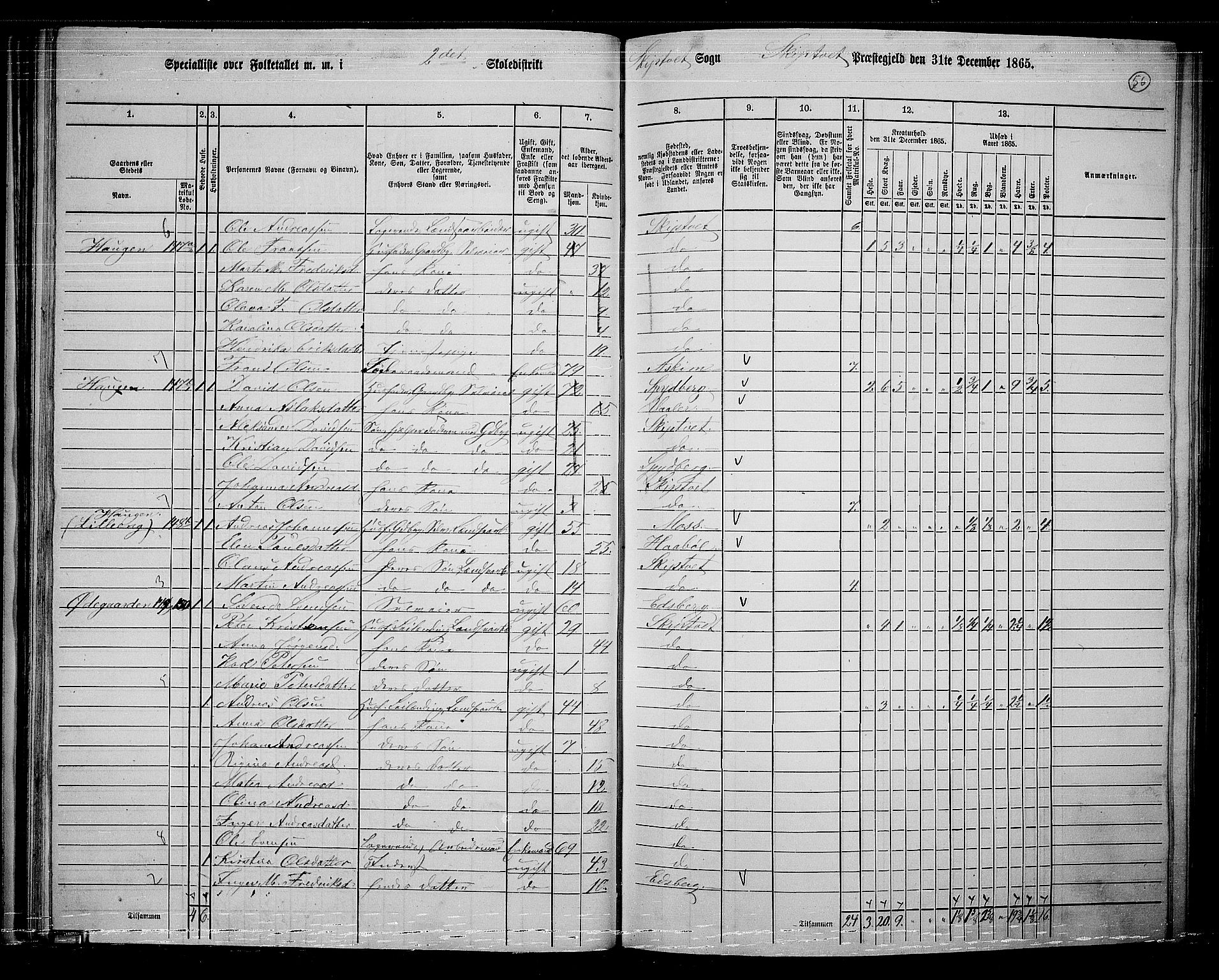 RA, 1865 census for Skiptvet, 1865, p. 49