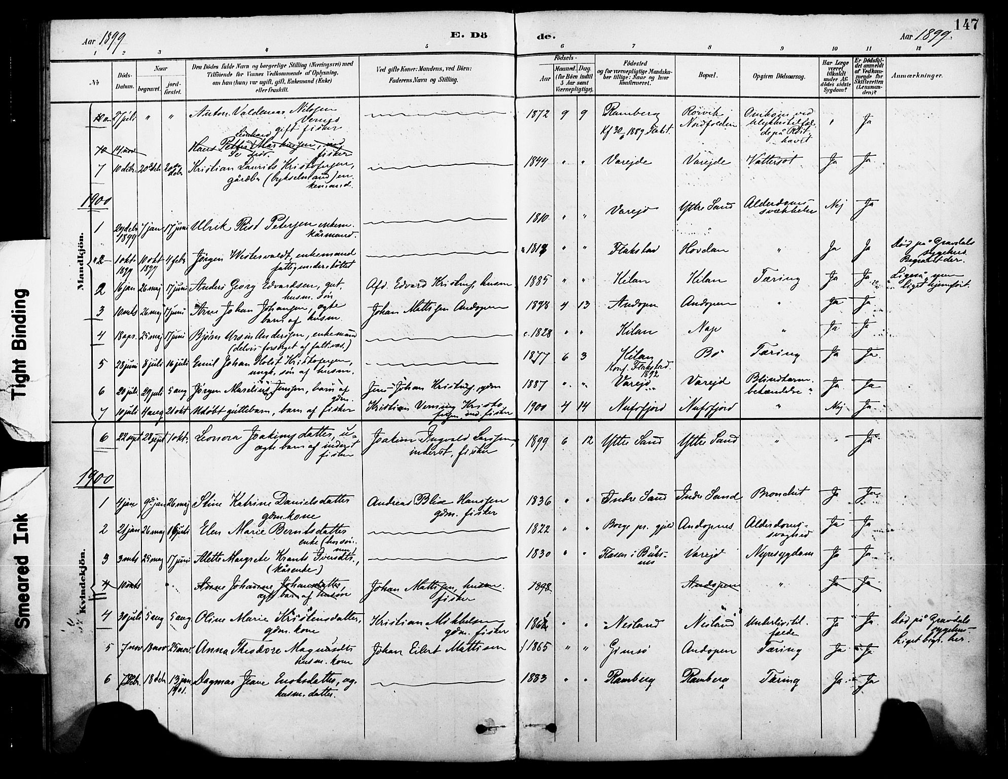 Ministerialprotokoller, klokkerbøker og fødselsregistre - Nordland, SAT/A-1459/885/L1205: Parish register (official) no. 885A06, 1892-1905, p. 147