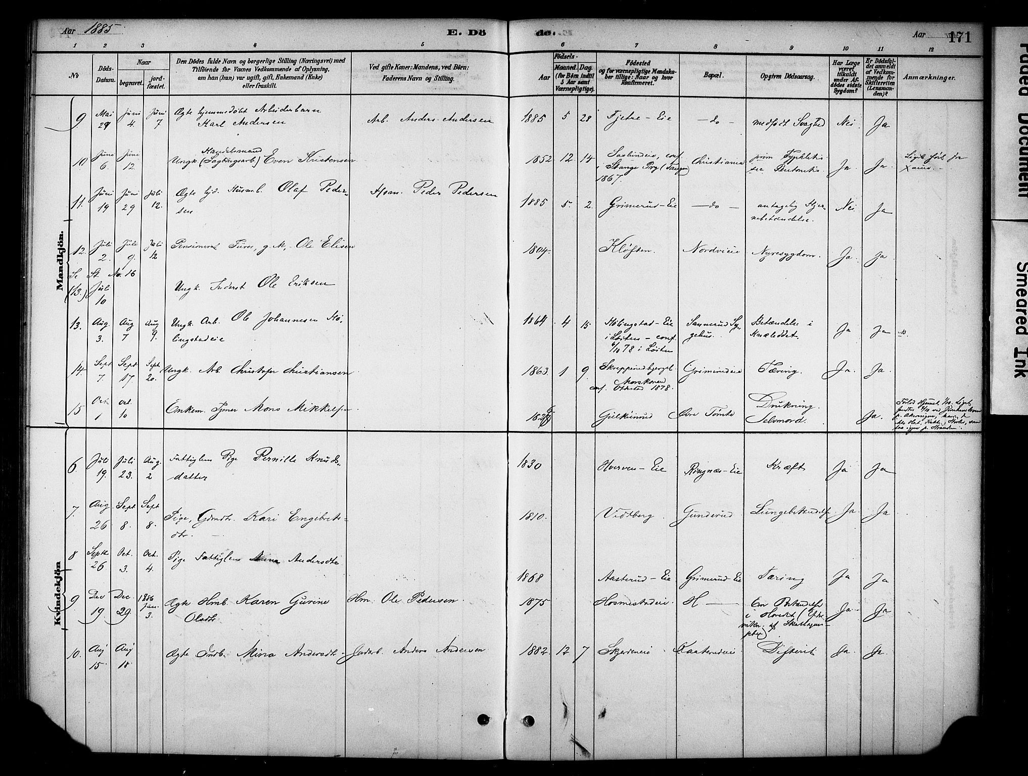Stange prestekontor, SAH/PREST-002/K/L0019: Parish register (official) no. 19, 1880-1891, p. 171