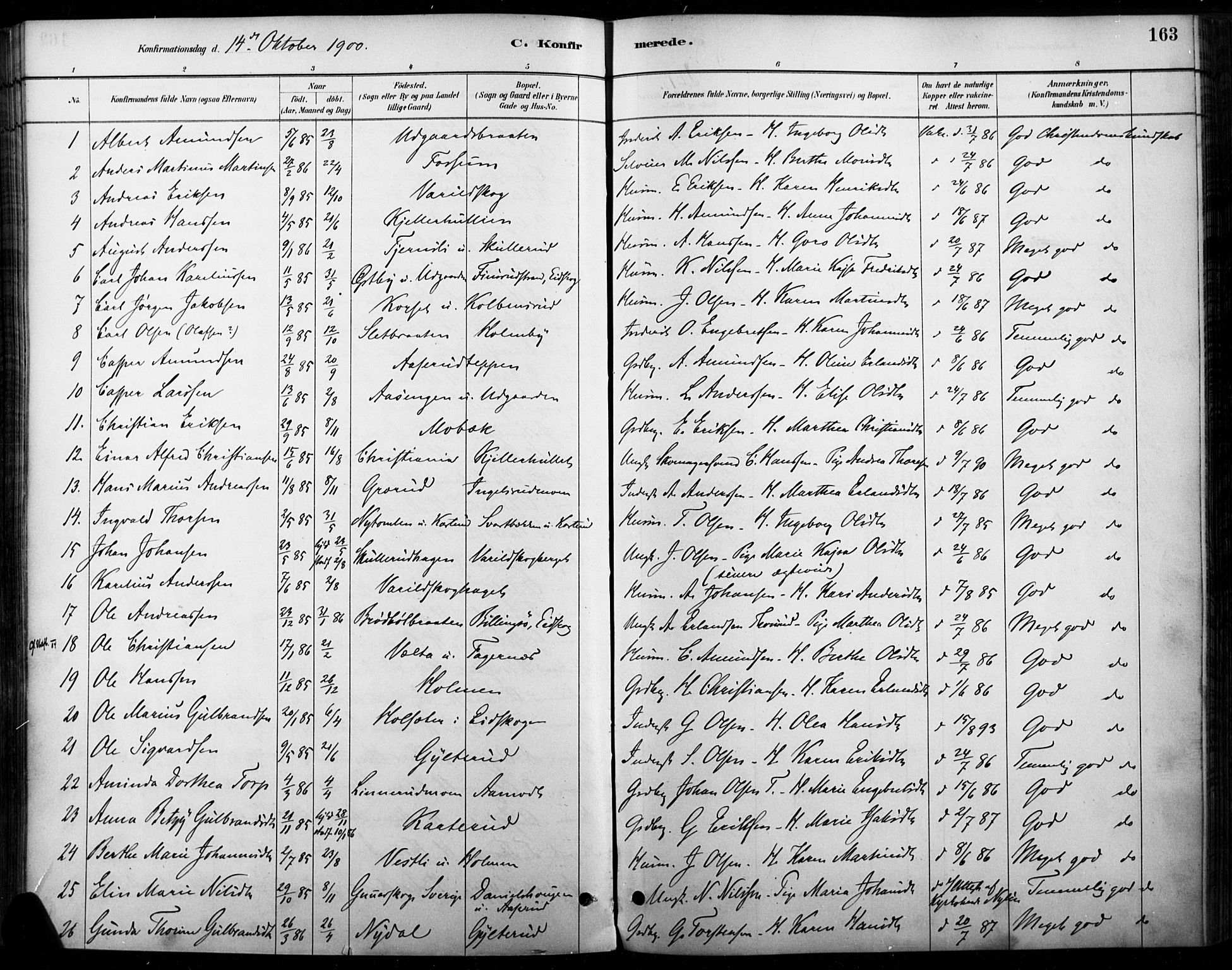 Vinger prestekontor, AV/SAH-PREST-024/H/Ha/Haa/L0015: Parish register (official) no. 15, 1881-1900, p. 163