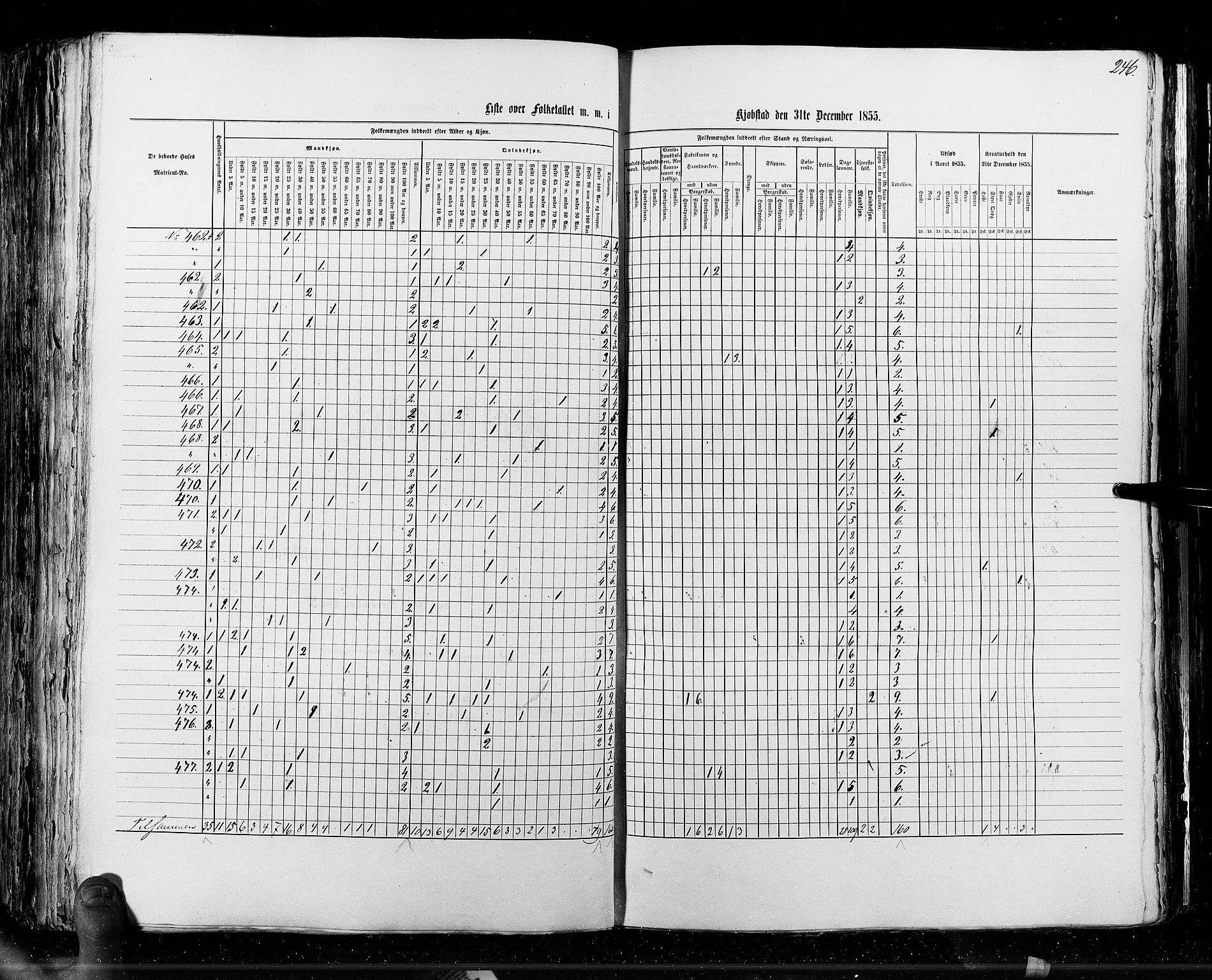 RA, Census 1855, vol. 7: Fredrikshald-Kragerø, 1855, p. 246