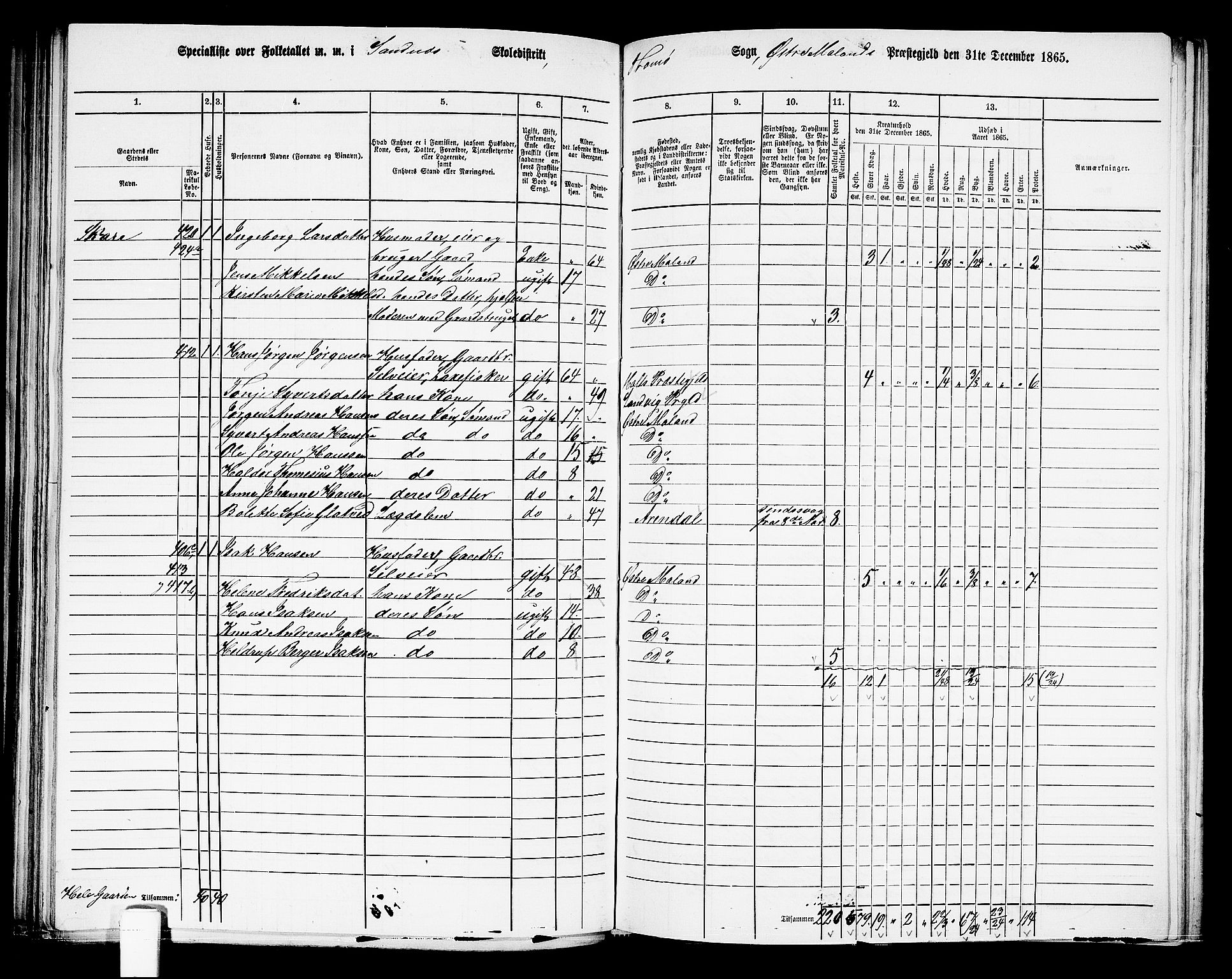 RA, 1865 census for Austre Moland, 1865, p. 198