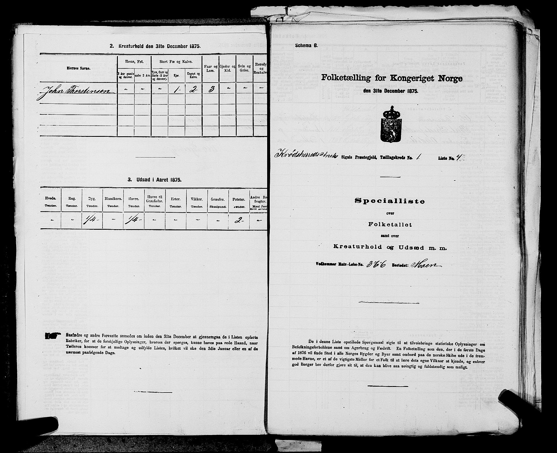 SAKO, 1875 census for 0621P Sigdal, 1875, p. 1174