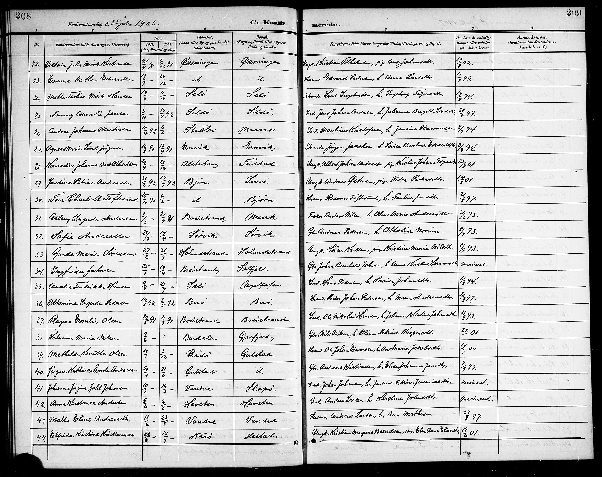 Ministerialprotokoller, klokkerbøker og fødselsregistre - Nordland, SAT/A-1459/834/L0516: Parish register (copy) no. 834C06, 1902-1918, p. 208-209