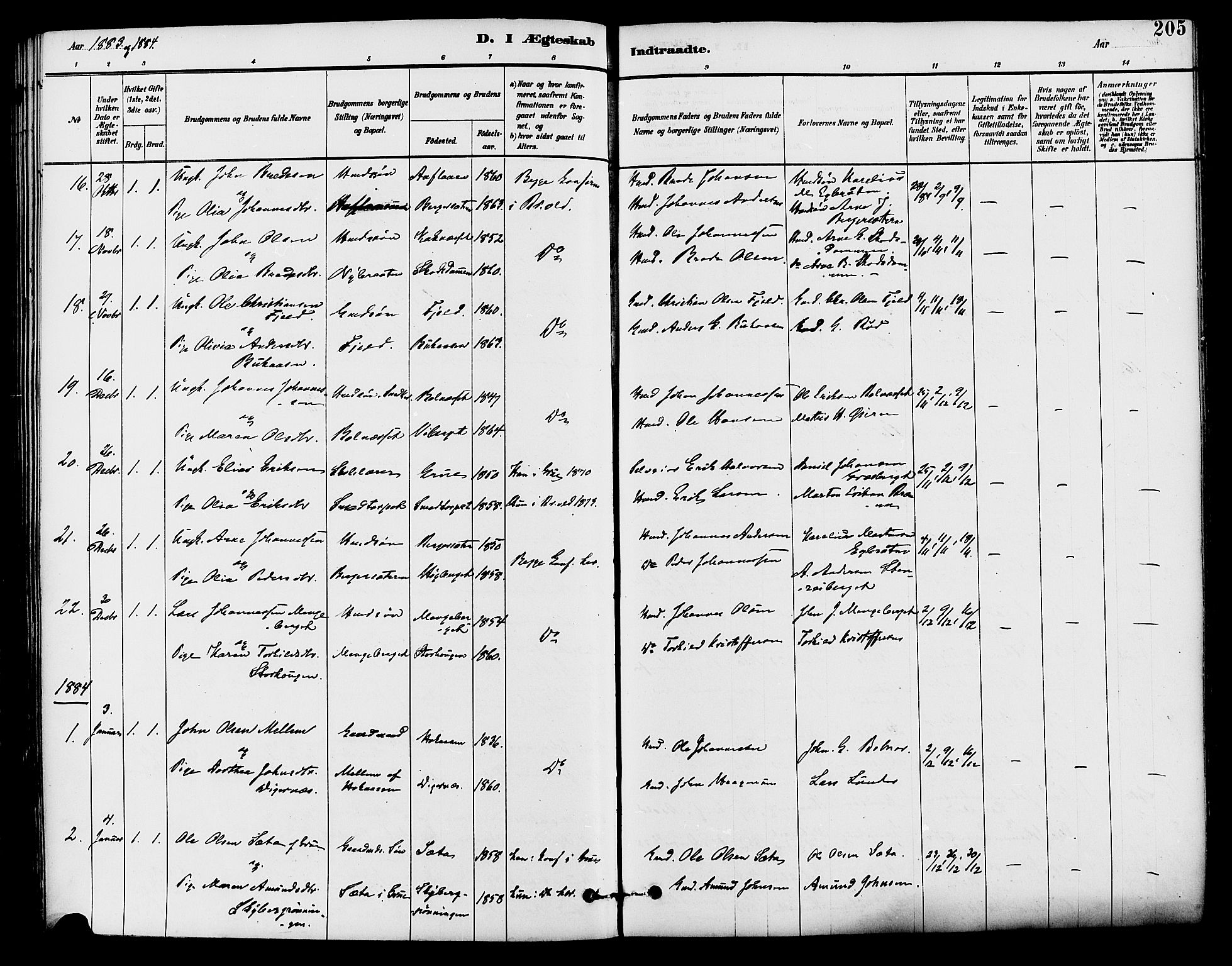 Brandval prestekontor, SAH/PREST-034/H/Ha/Haa/L0002: Parish register (official) no. 2, 1880-1894, p. 205