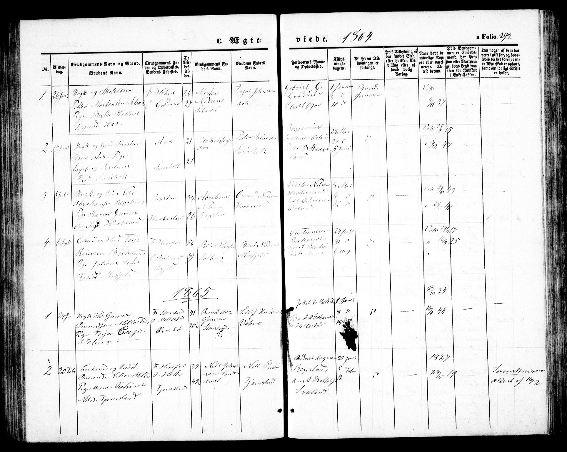 Birkenes sokneprestkontor, SAK/1111-0004/F/Fb/L0002: Parish register (copy) no. B 2, 1849-1876, p. 293