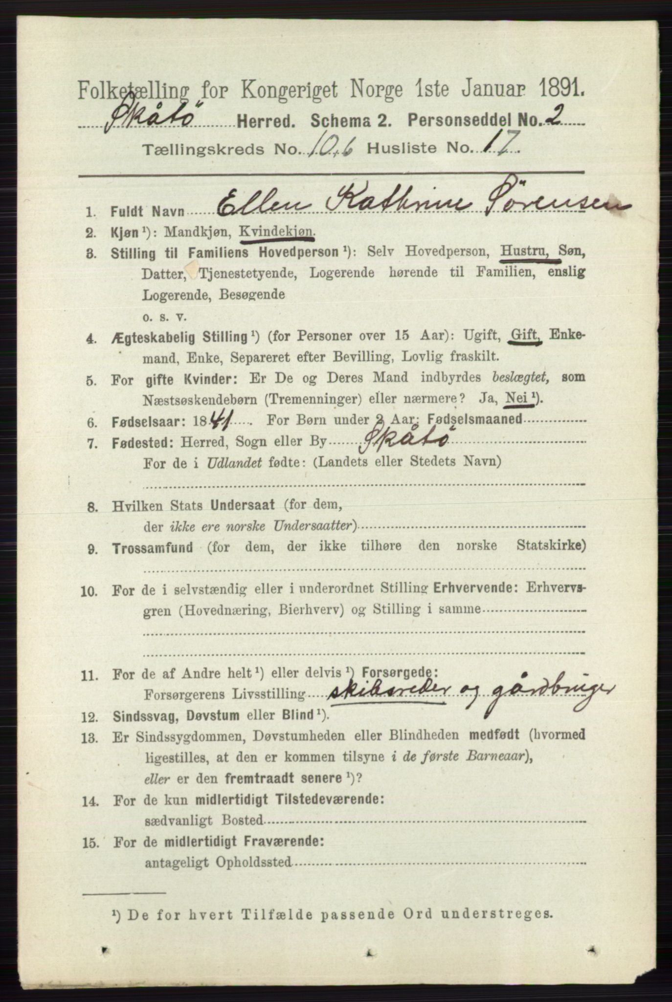 RA, 1891 census for 0815 Skåtøy, 1891, p. 4138