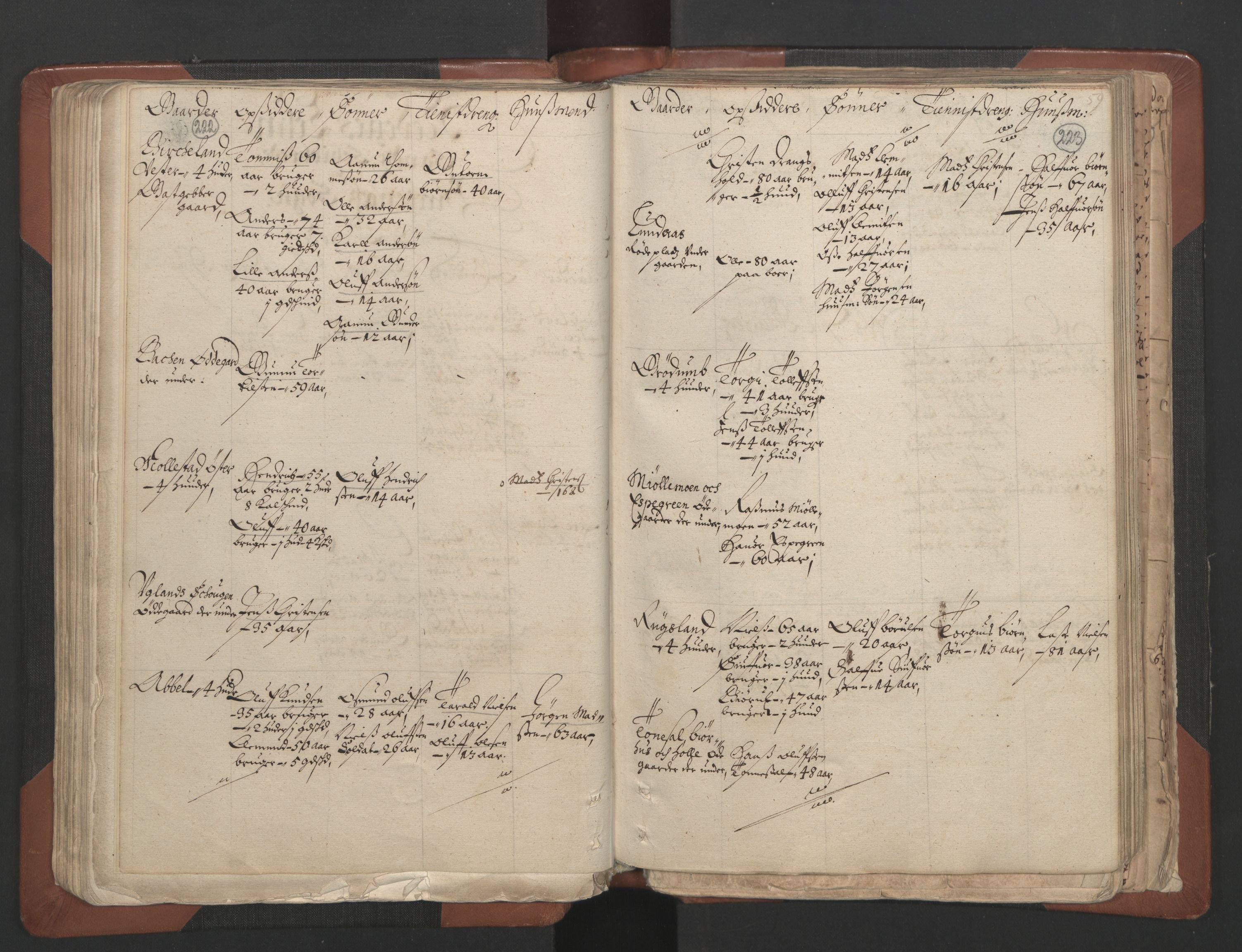 RA, Bailiff's Census 1664-1666, no. 7: Nedenes fogderi, 1664-1666, p. 222-223