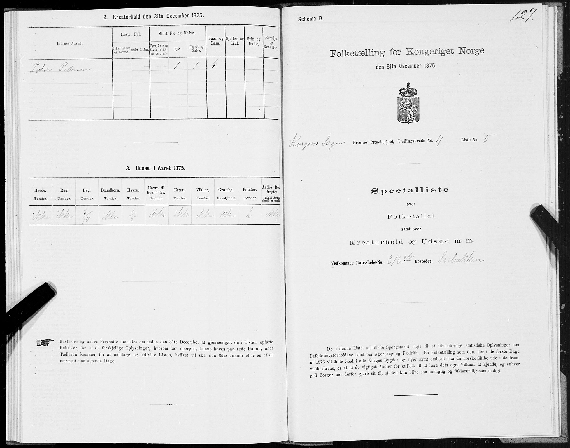 SAT, 1875 census for 1832P Hemnes, 1875, p. 3127