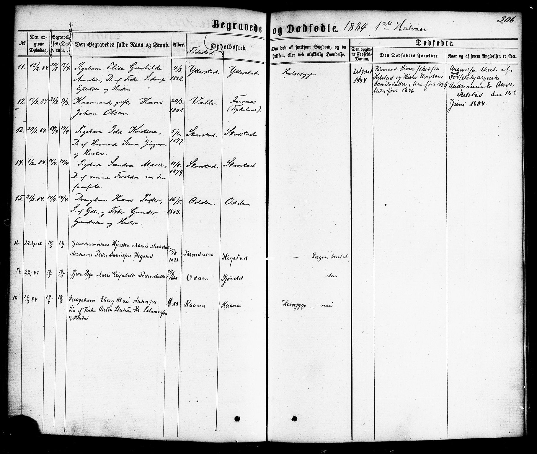 Ministerialprotokoller, klokkerbøker og fødselsregistre - Nordland, AV/SAT-A-1459/872/L1034: Parish register (official) no. 872A09, 1864-1884, p. 306