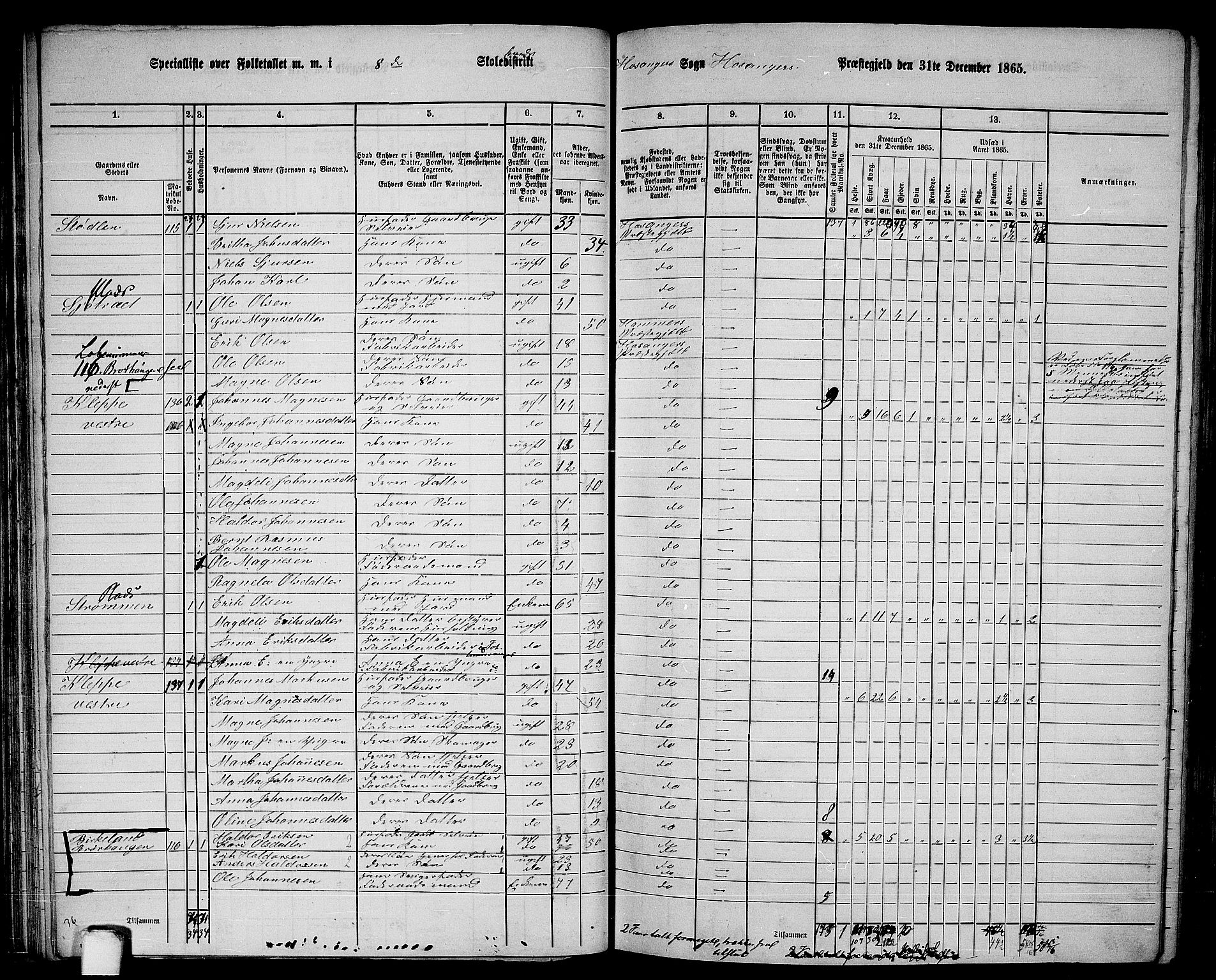 RA, 1865 census for Hosanger, 1865, p. 65