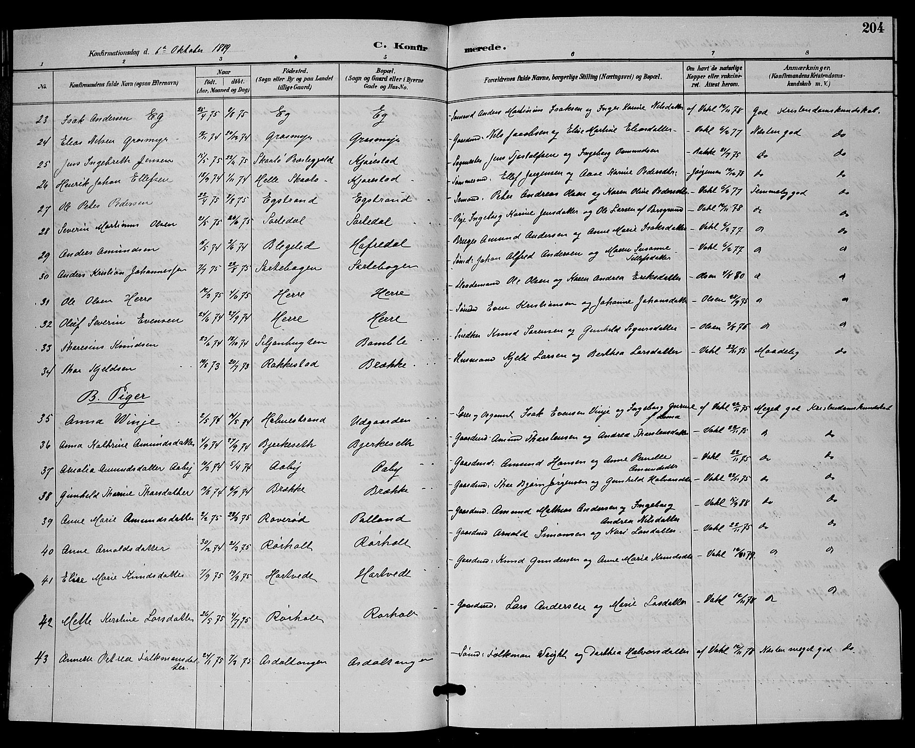 Bamble kirkebøker, AV/SAKO-A-253/G/Ga/L0009: Parish register (copy) no. I 9, 1888-1900, p. 204