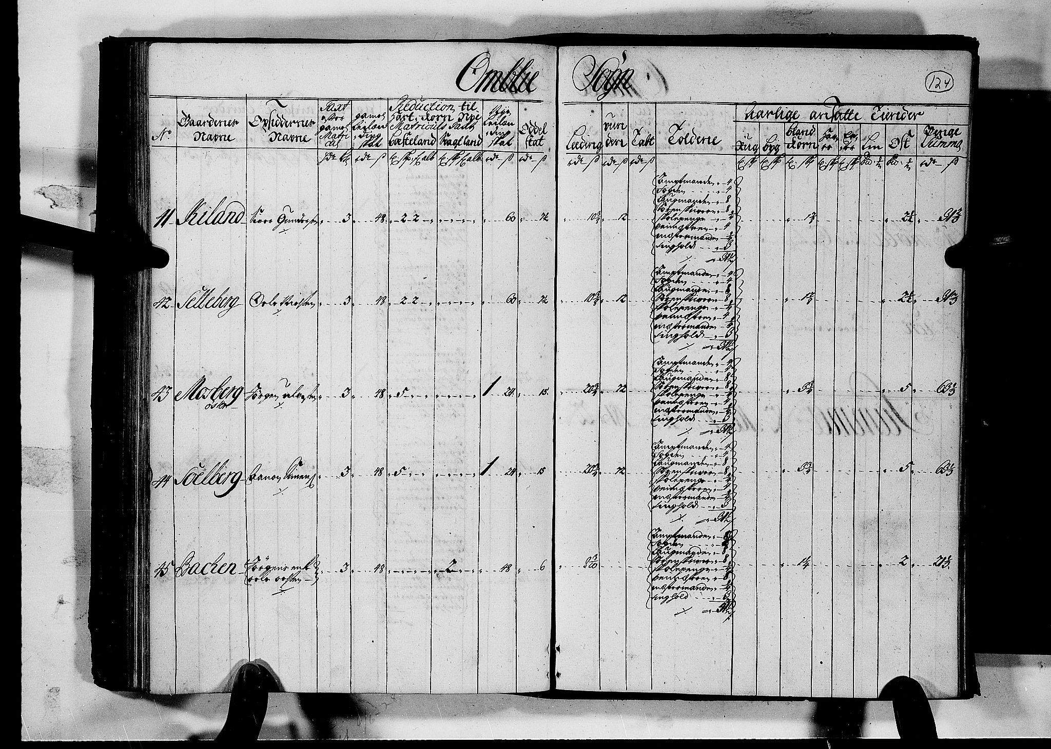 Rentekammeret inntil 1814, Realistisk ordnet avdeling, AV/RA-EA-4070/N/Nb/Nbf/L0126: Råbyggelag matrikkelprotokoll, 1723, p. 129