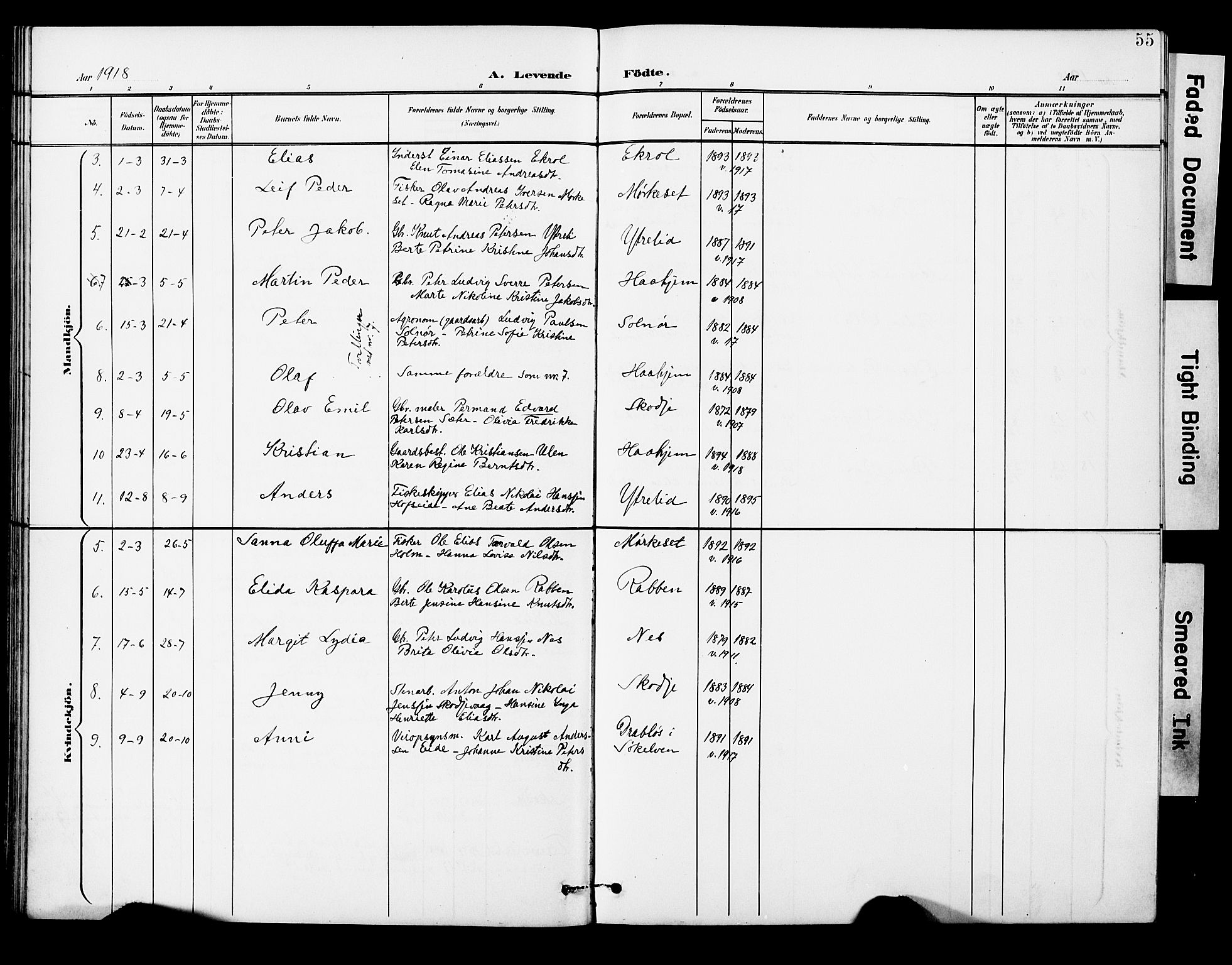 Ministerialprotokoller, klokkerbøker og fødselsregistre - Møre og Romsdal, AV/SAT-A-1454/524/L0366: Parish register (copy) no. 524C07, 1900-1931, p. 55