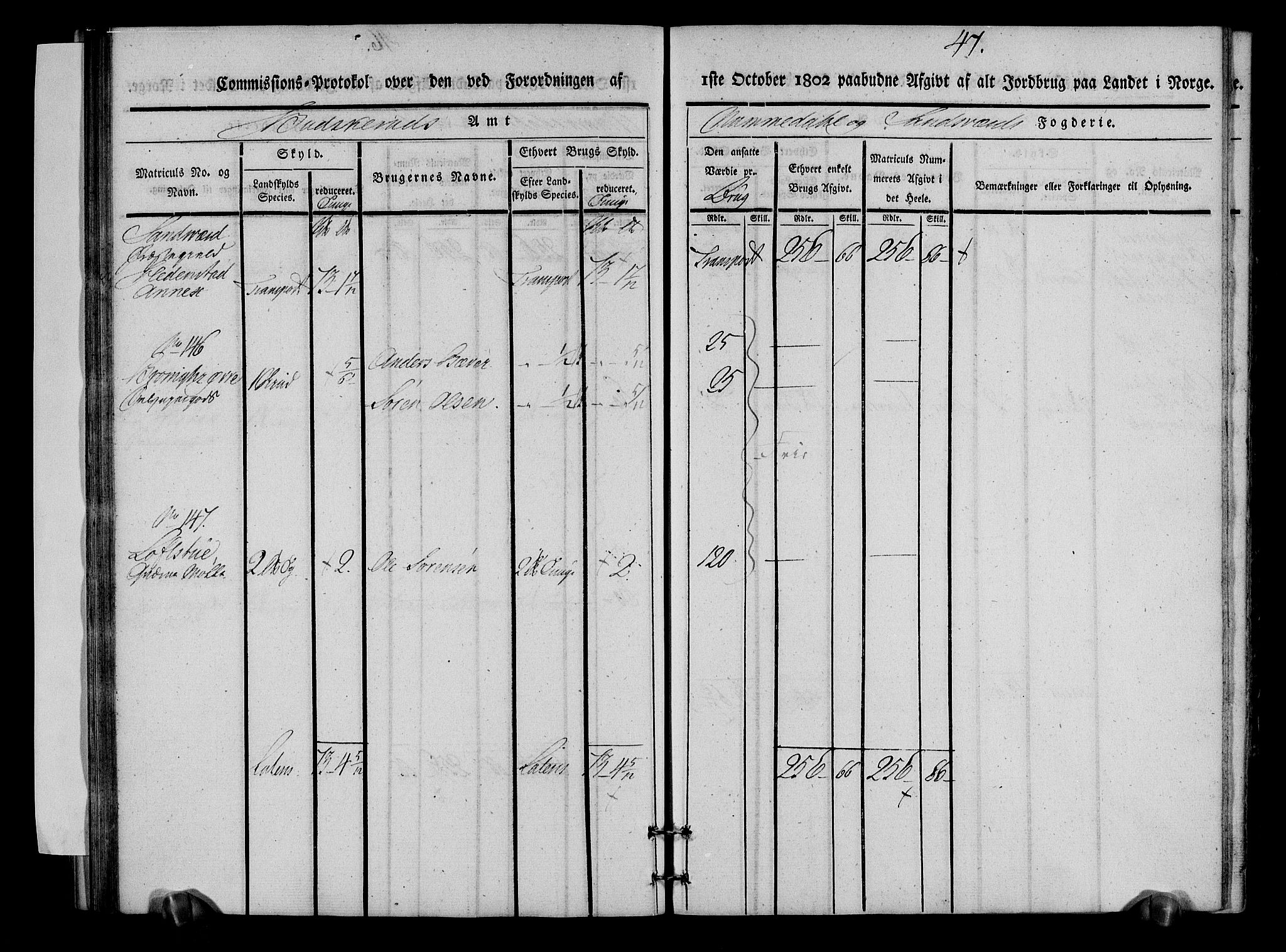 Rentekammeret inntil 1814, Realistisk ordnet avdeling, AV/RA-EA-4070/N/Ne/Nea/L0053: Numedal og Sandsvær fogderi. Kommisjonsprotokoll over matrikulerte jordbruk i Hedenstad anneks, 1803, p. 48