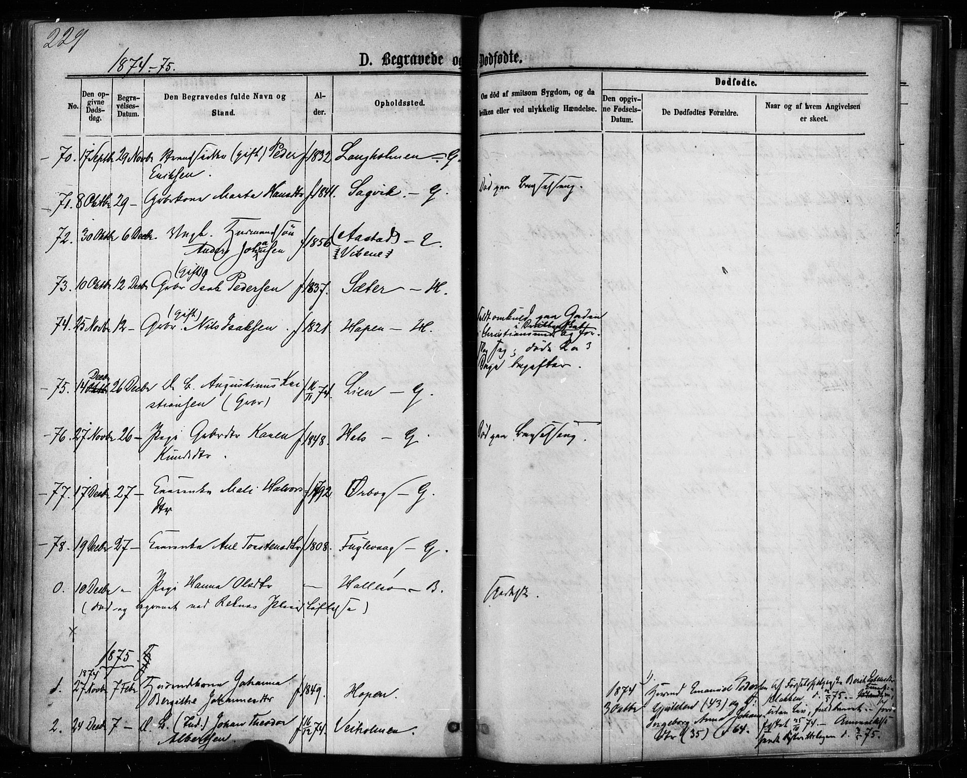 Ministerialprotokoller, klokkerbøker og fødselsregistre - Møre og Romsdal, AV/SAT-A-1454/581/L0938: Parish register (official) no. 581A06, 1873-1879, p. 229