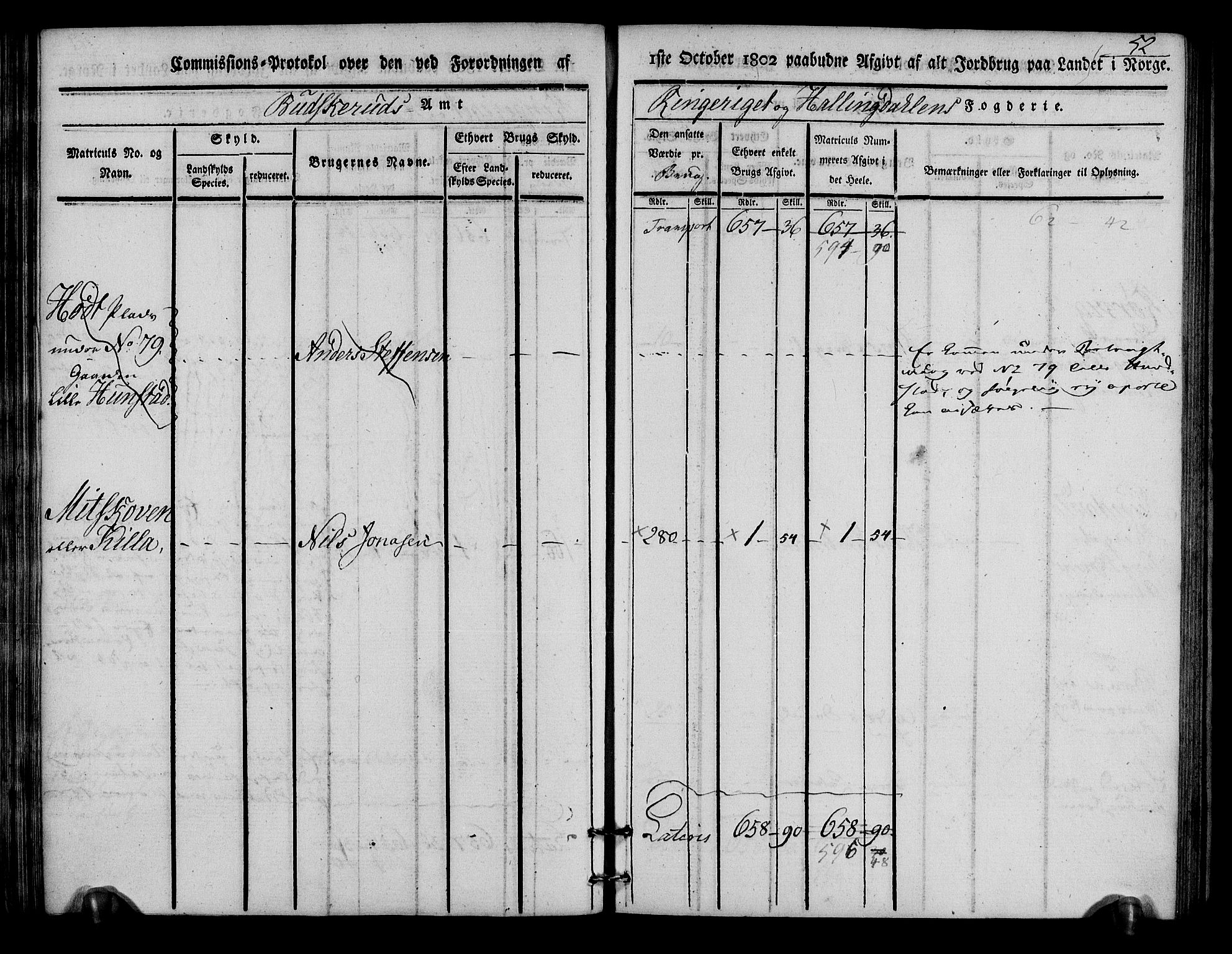 Rentekammeret inntil 1814, Realistisk ordnet avdeling, AV/RA-EA-4070/N/Ne/Nea/L0046: Ringerike og Hallingdal fogderi. Kommisjonsprotokoll for Hole prestegjeld, 1803, p. 53