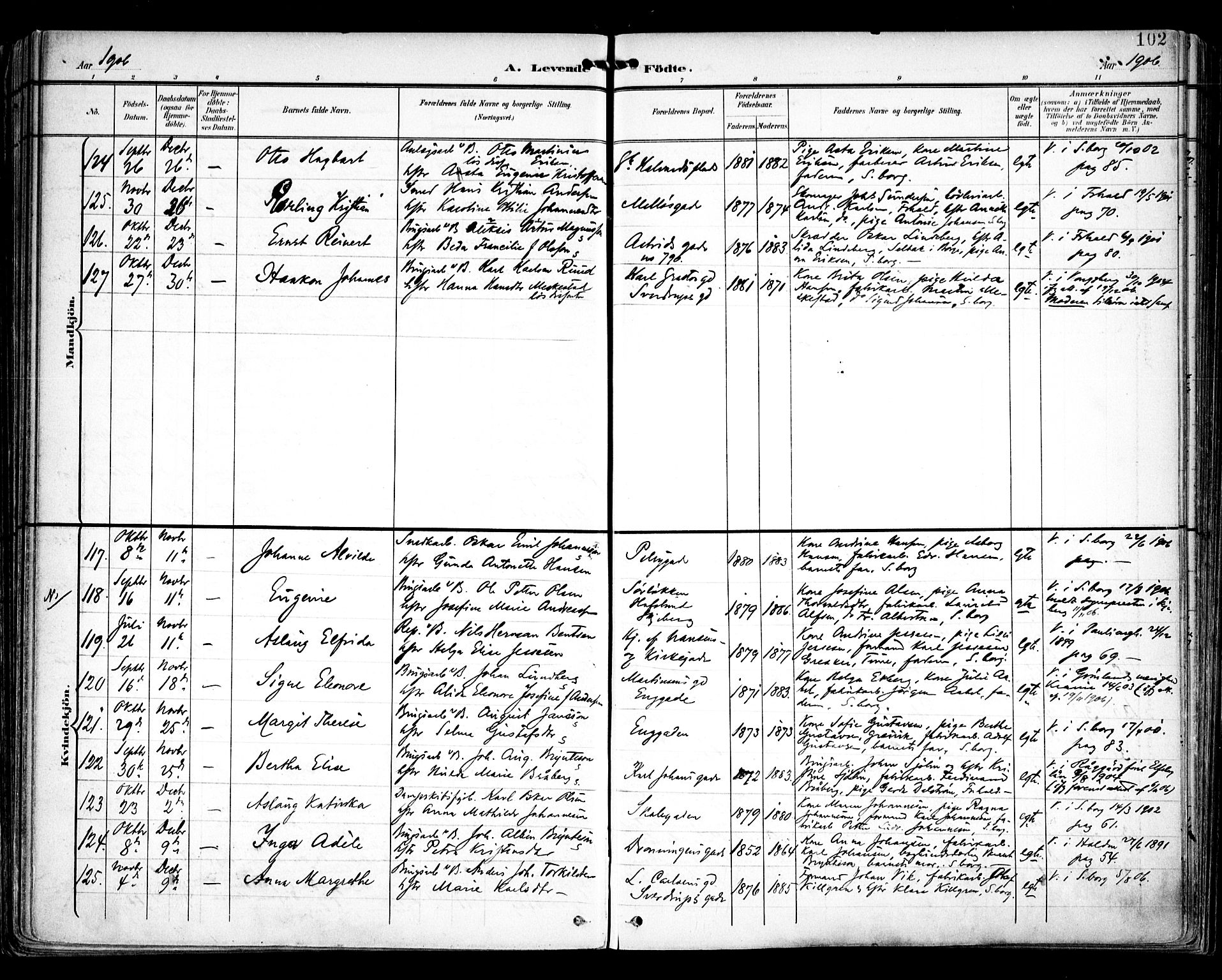 Sarpsborg prestekontor Kirkebøker, AV/SAO-A-2006/F/Fa/L0005: Parish register (official) no. 5, 1900-1909, p. 102