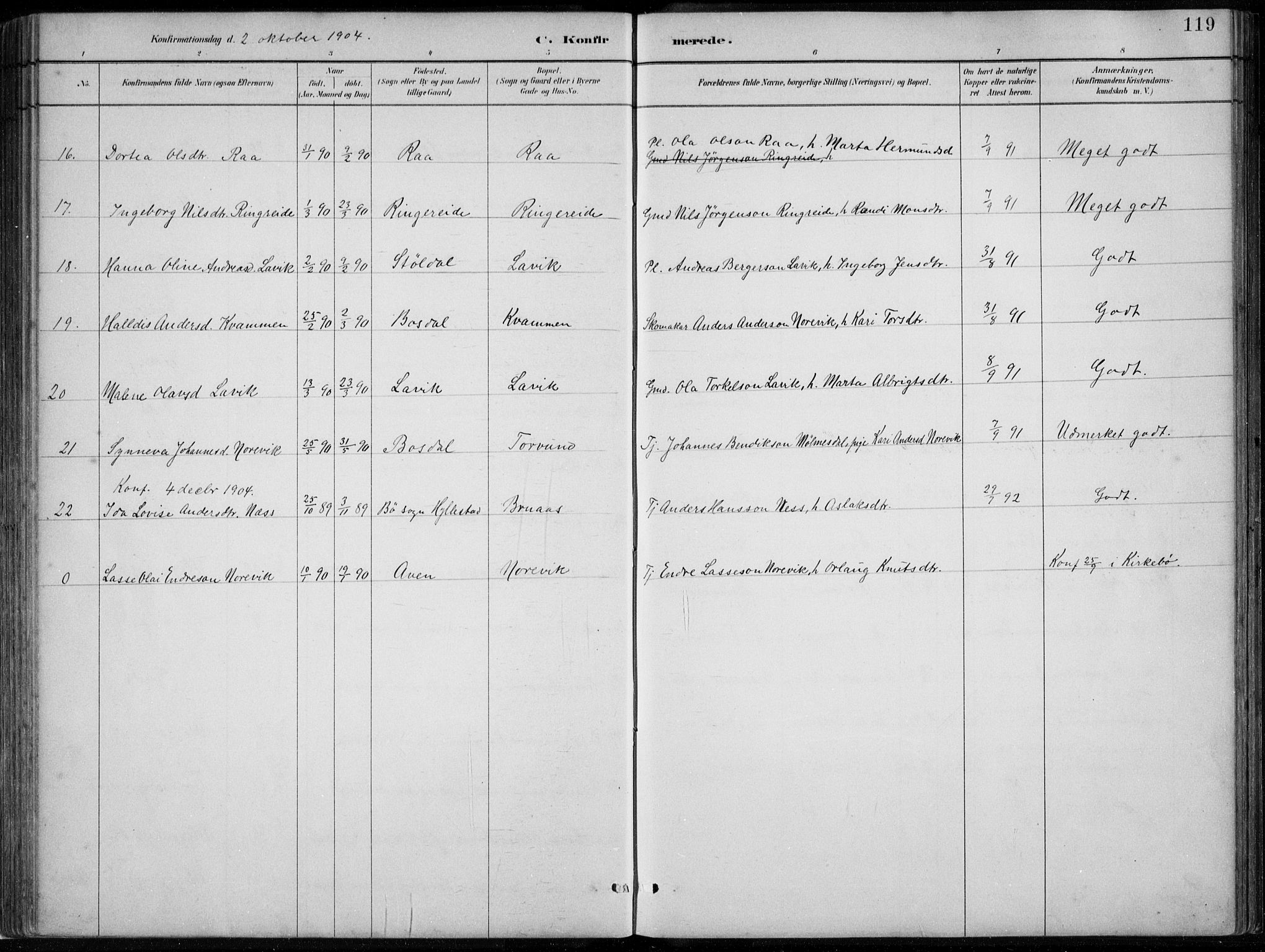 Lavik sokneprestembete, AV/SAB-A-80901: Parish register (copy) no. A 2, 1882-1910, p. 119