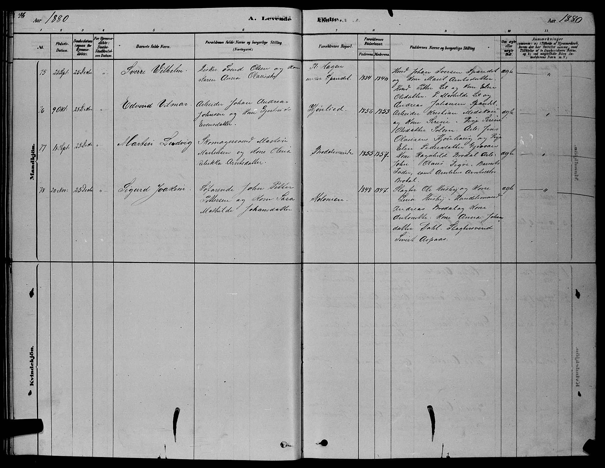 Ministerialprotokoller, klokkerbøker og fødselsregistre - Sør-Trøndelag, SAT/A-1456/606/L0312: Parish register (copy) no. 606C08, 1878-1894, p. 46