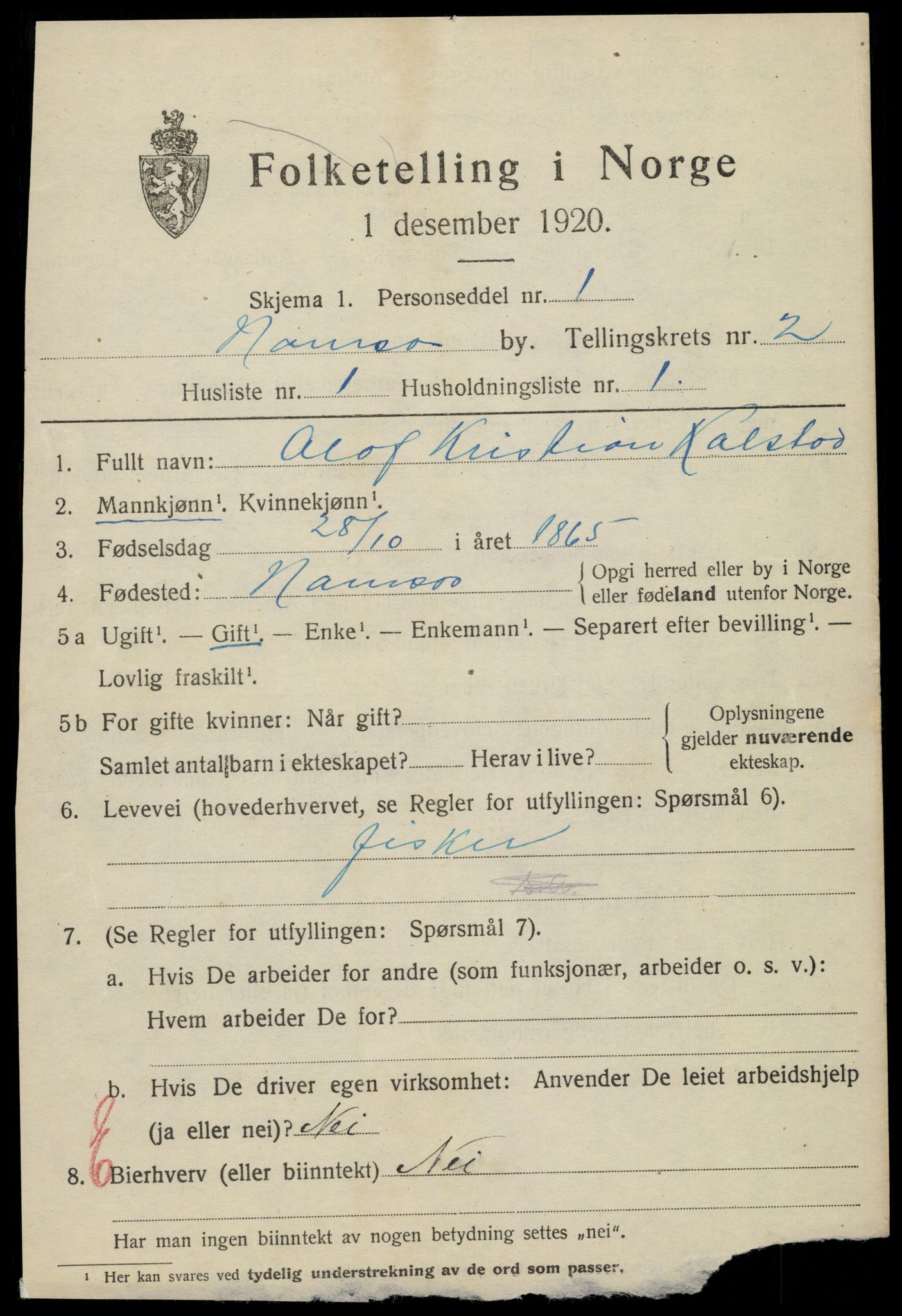 SAT, 1920 census for Namsos, 1920, p. 3133