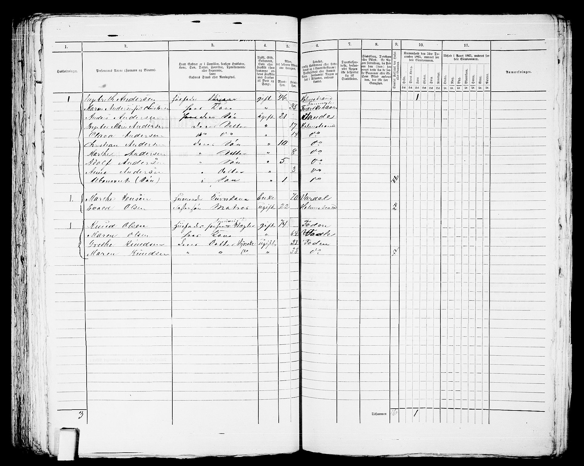 RA, 1865 census for Botne/Holmestrand, 1865, p. 252