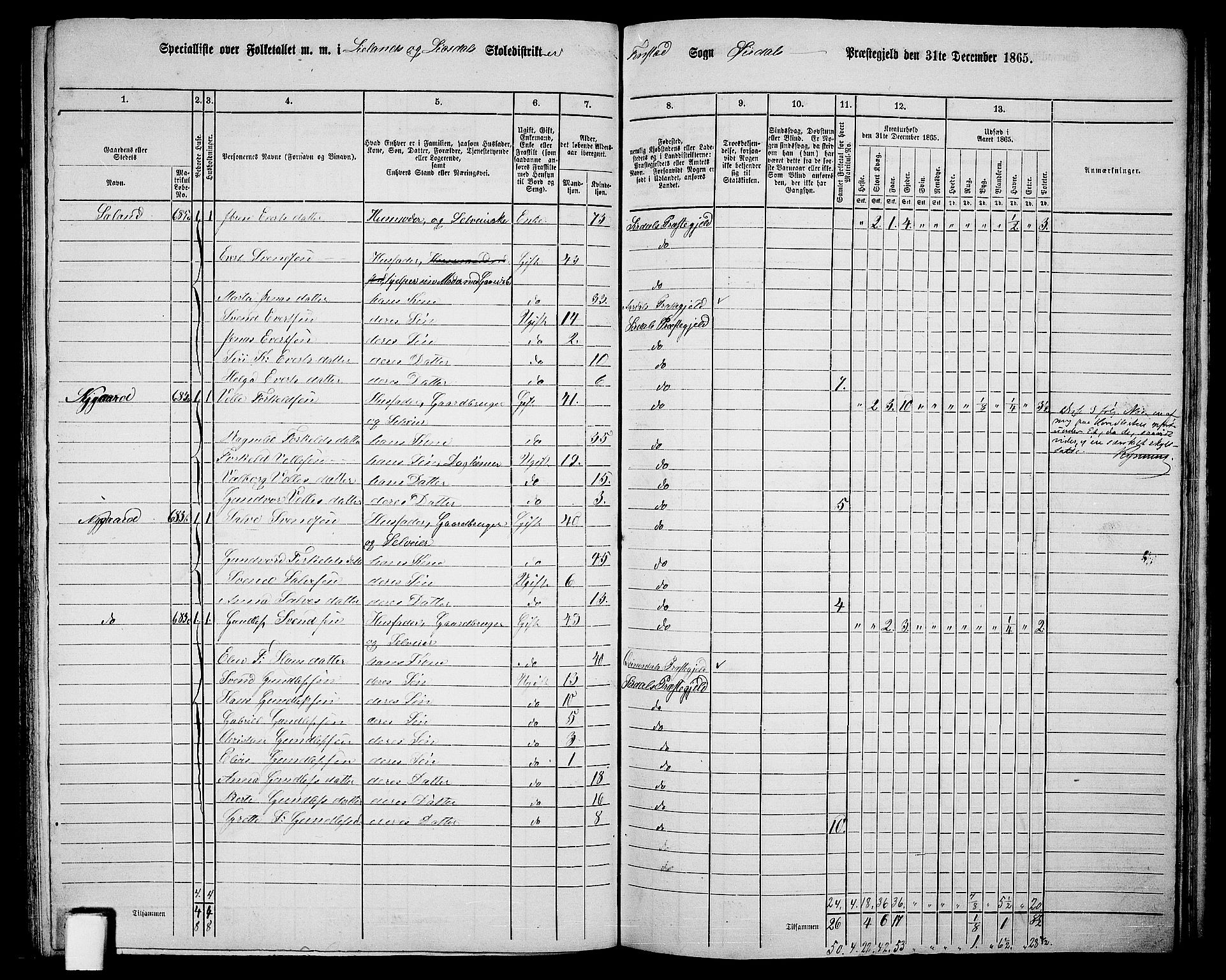 RA, 1865 census for Sirdal, 1865, p. 36