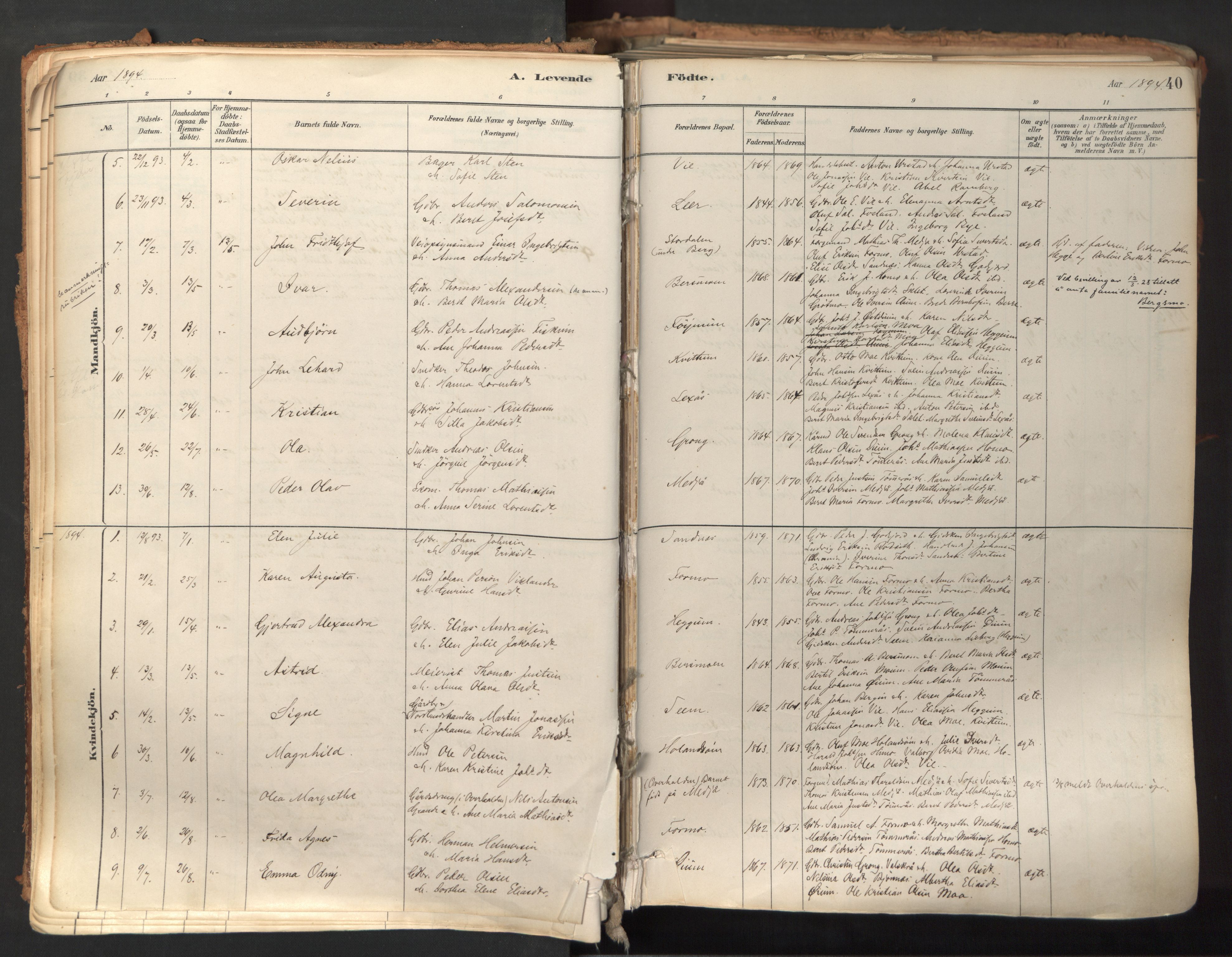 Ministerialprotokoller, klokkerbøker og fødselsregistre - Nord-Trøndelag, SAT/A-1458/758/L0519: Parish register (official) no. 758A04, 1880-1926, p. 40