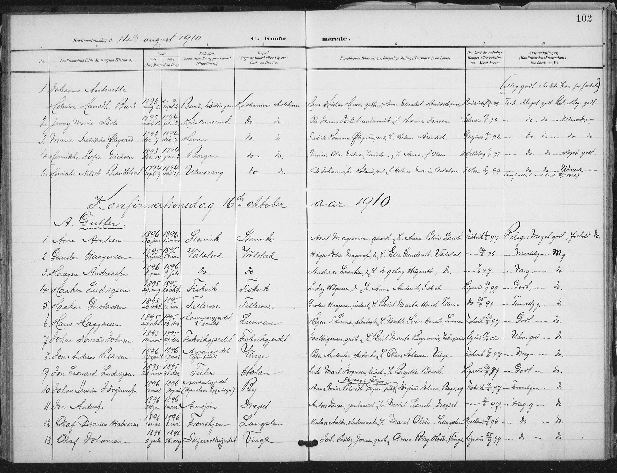 Ministerialprotokoller, klokkerbøker og fødselsregistre - Nord-Trøndelag, SAT/A-1458/712/L0101: Parish register (official) no. 712A02, 1901-1916, p. 102