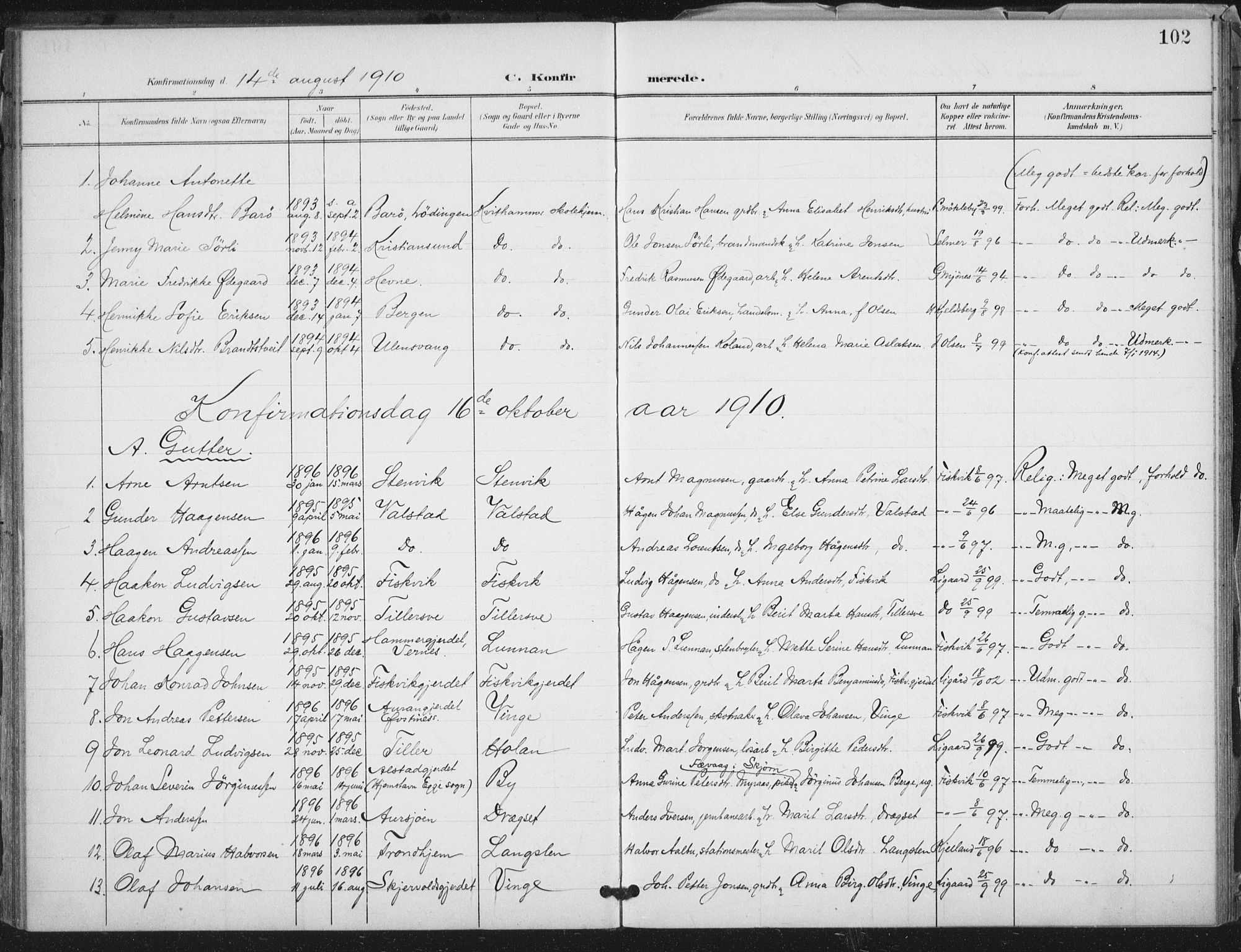 Ministerialprotokoller, klokkerbøker og fødselsregistre - Nord-Trøndelag, AV/SAT-A-1458/712/L0101: Parish register (official) no. 712A02, 1901-1916, p. 102